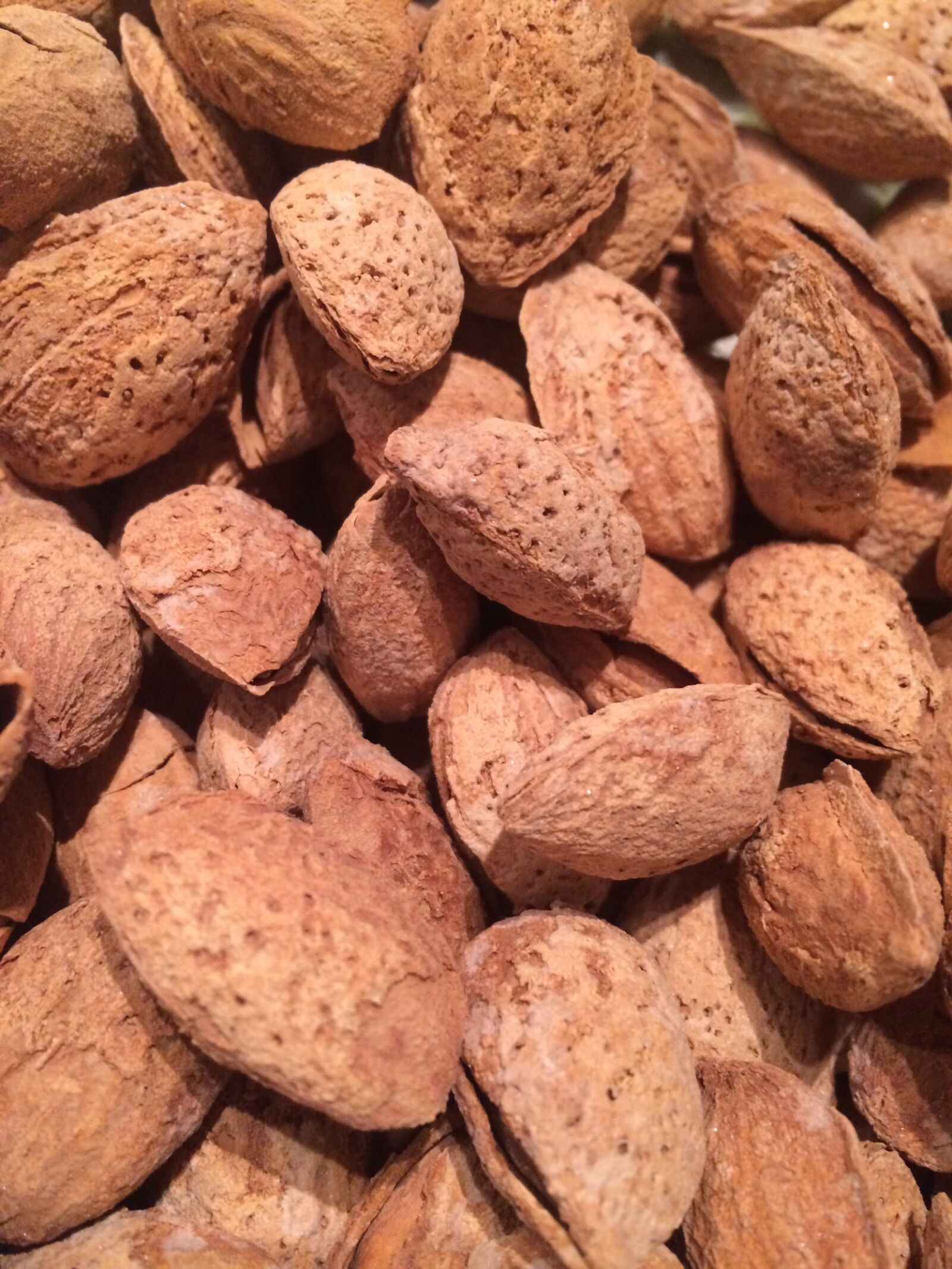 iPhone 5s back camera 4.15mm f/2.2 sample photo. Almonds, eat, nuts photography