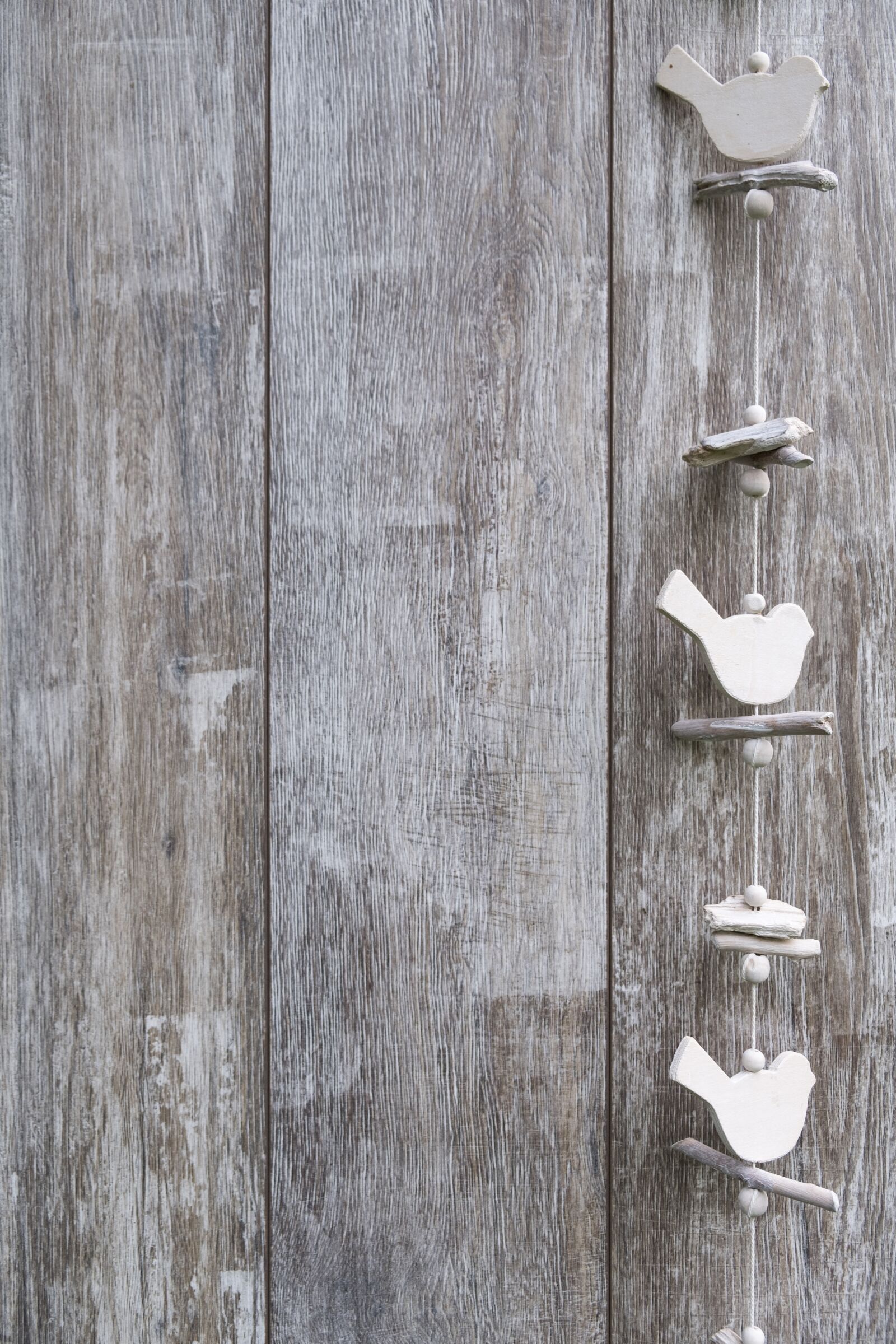 Fujifilm XF 18-55mm F2.8-4 R LM OIS sample photo. Background, wood, bird photography