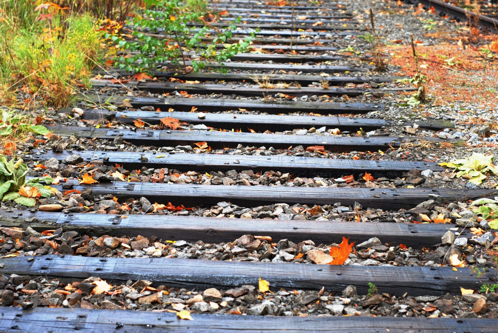 Nikon D200 sample photo. Transport, railway sleepers, loss photography