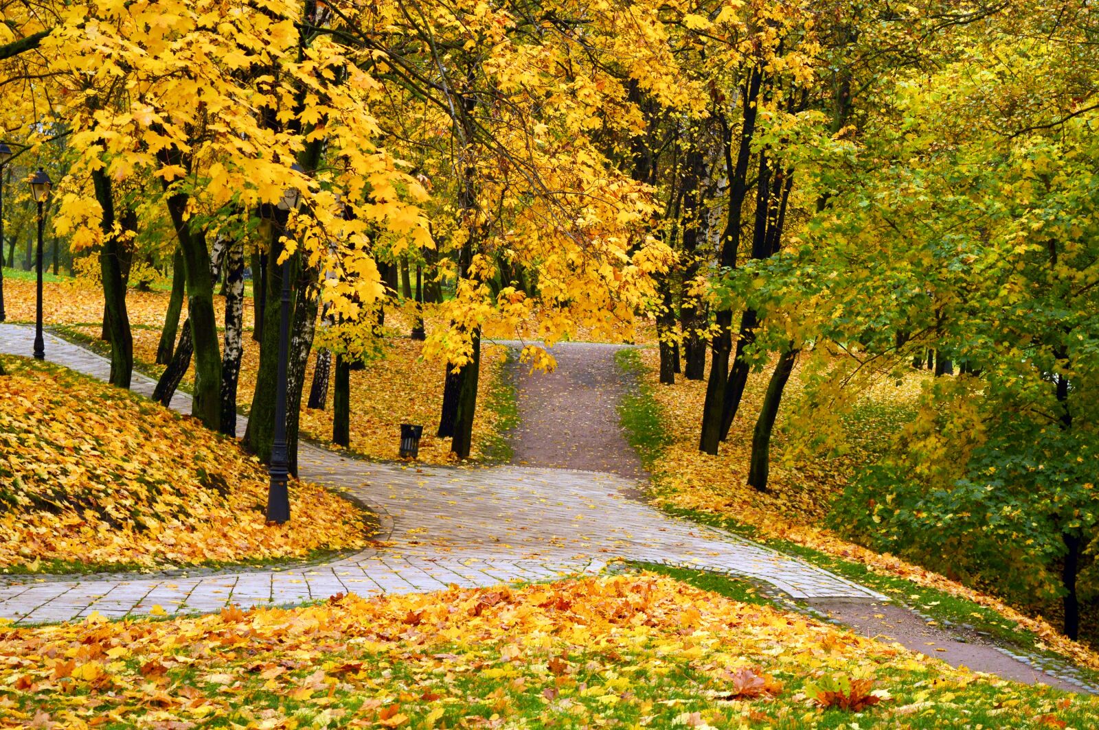 Nikon D3200 sample photo. Autumn park, autumn, stroll photography