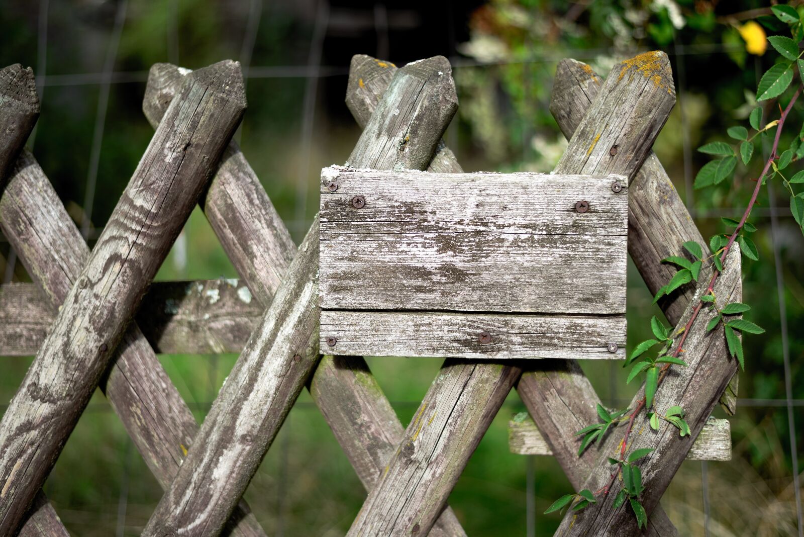 Nikon D610 sample photo. Shield, fence, wood fence photography