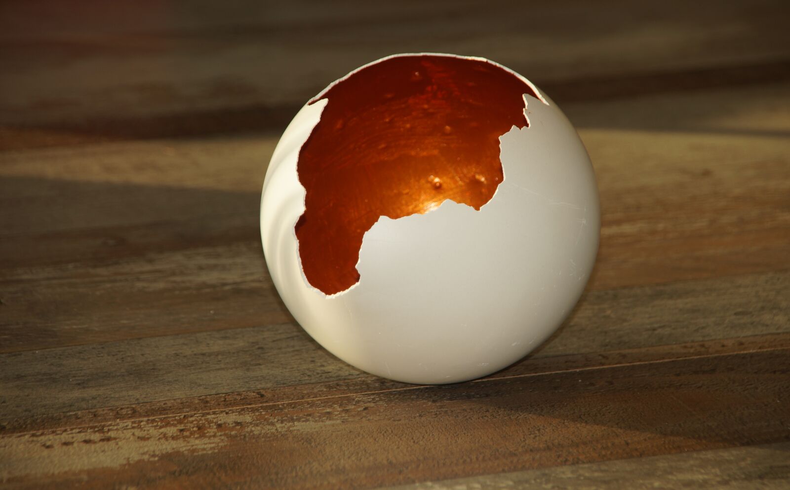 Sony SLT-A57 sample photo. Diy, shell, eggshell photography