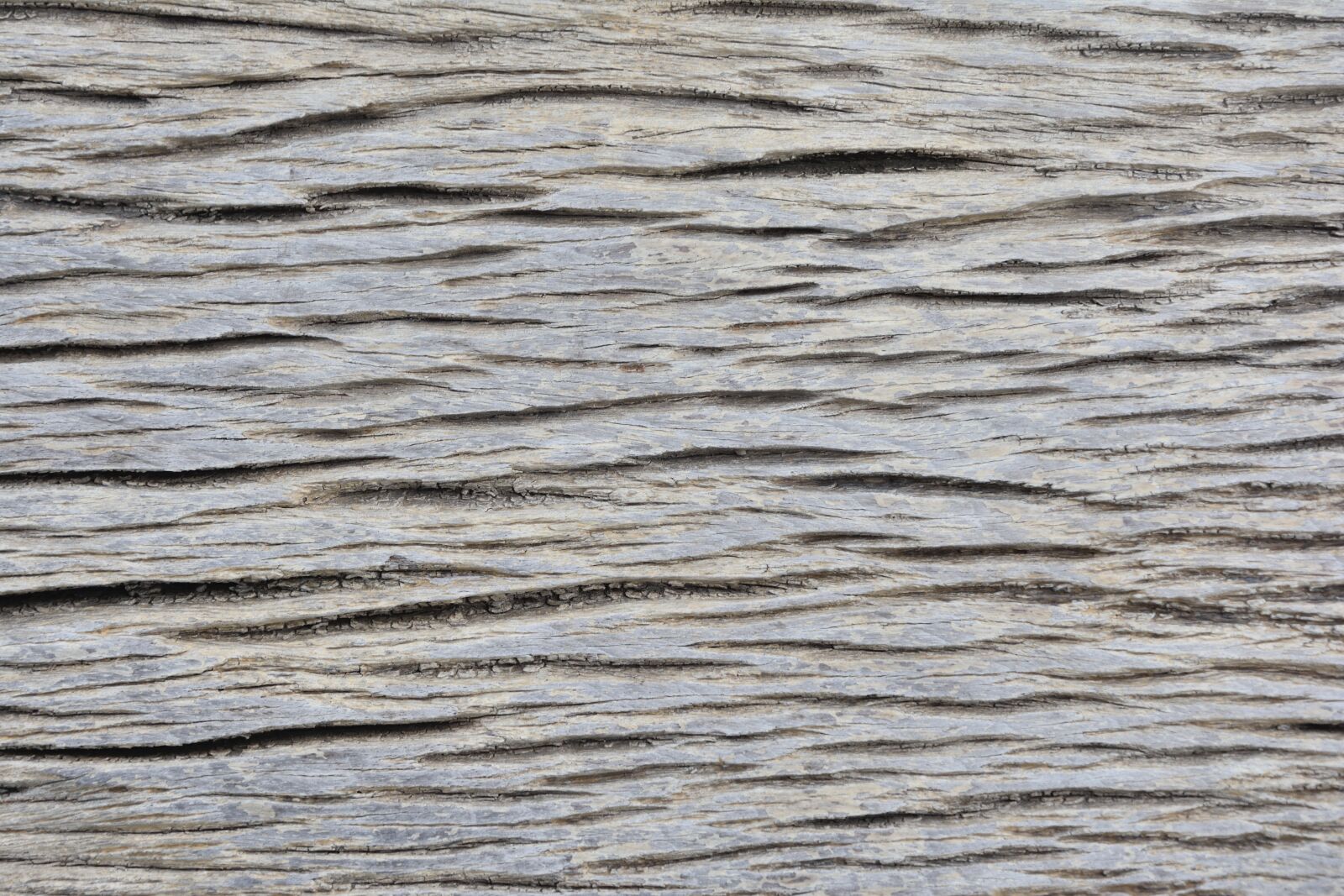 Nikon D5200 sample photo. Abstract, grunge, material photography