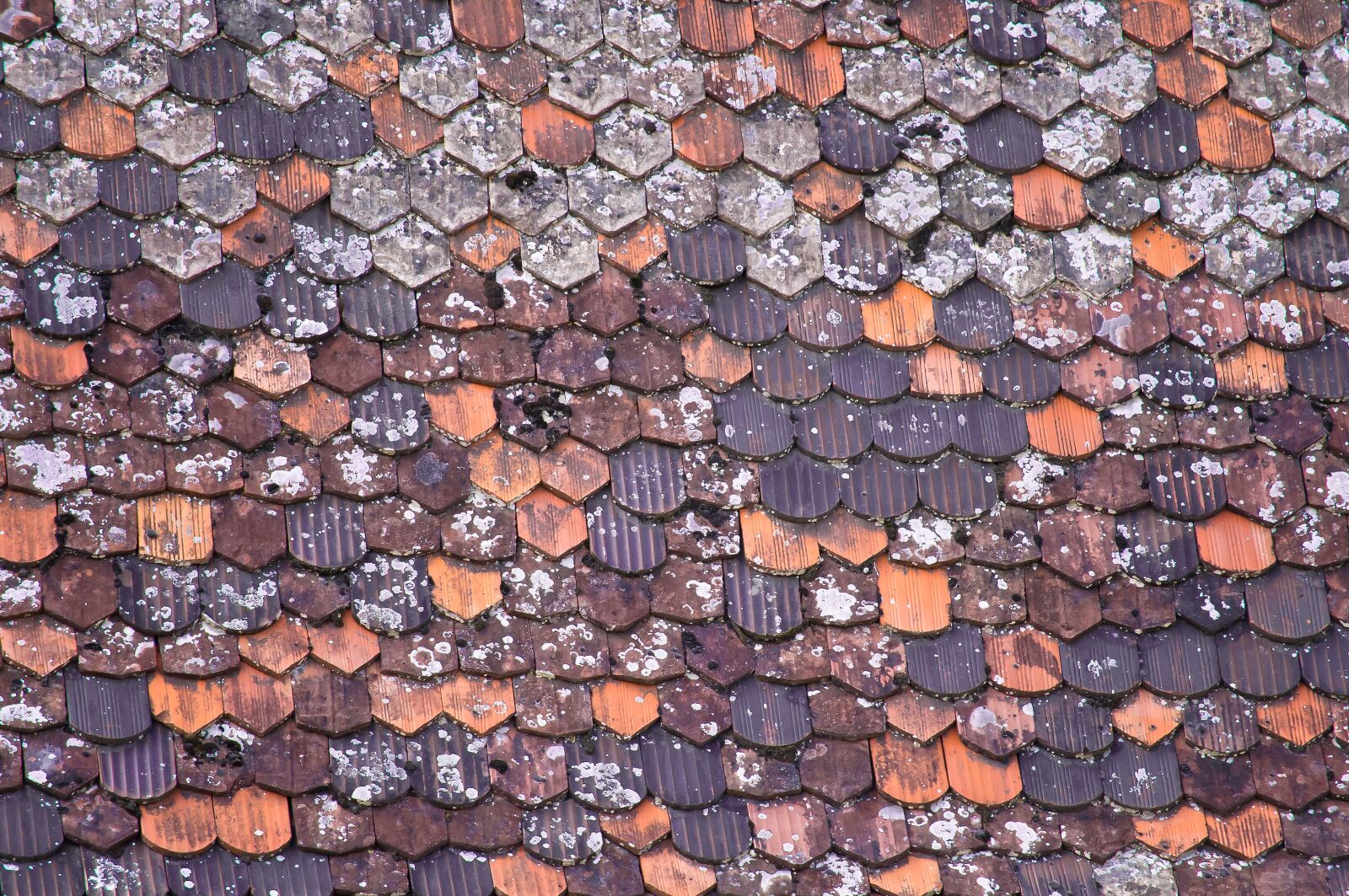 Nikon D90 sample photo. Roof, old, cottage photography
