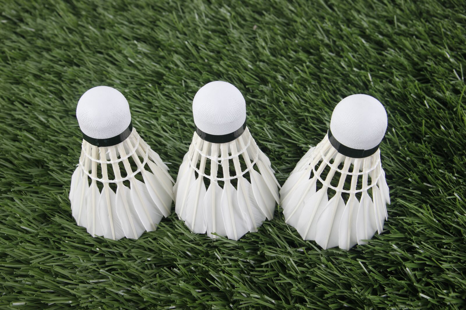 Canon EOS 550D (EOS Rebel T2i / EOS Kiss X4) sample photo. Badminton, sport, shuttlecock photography