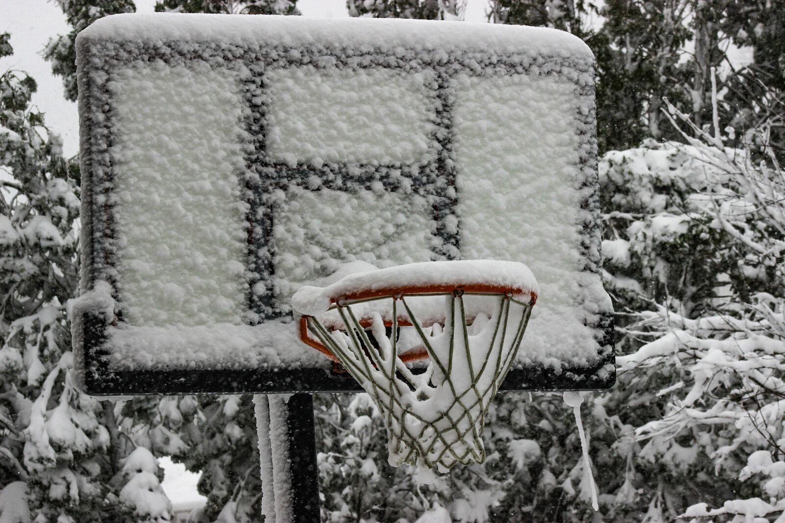 Canon EOS 600D (Rebel EOS T3i / EOS Kiss X5) sample photo. Outdoors, nature, snow photography