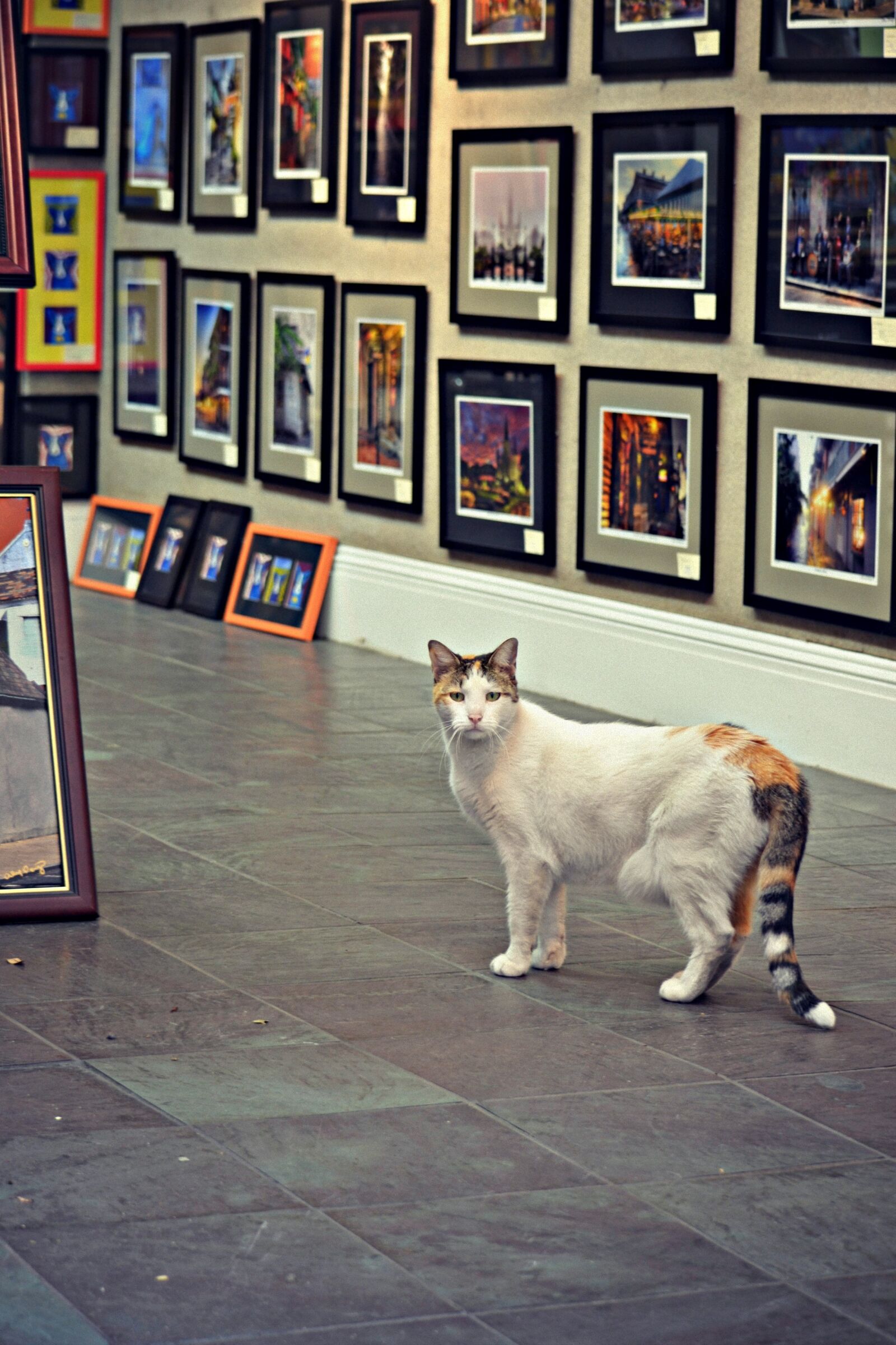 Nikon D3100 sample photo. New orleans, candid, tourist photography