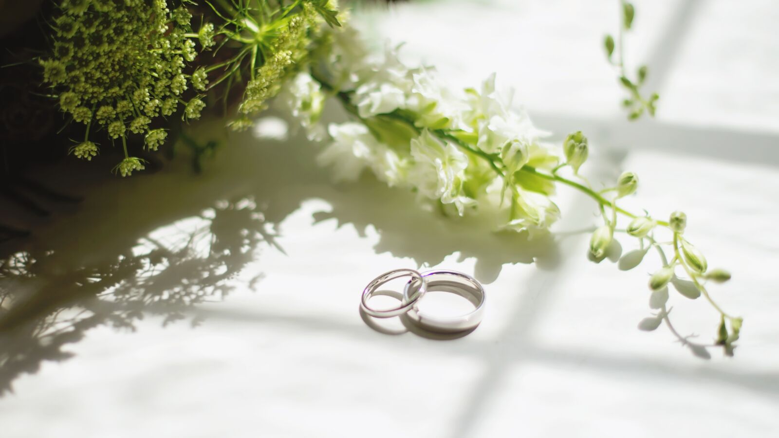 Nikon D4 sample photo. Wedding, rings, ring photography