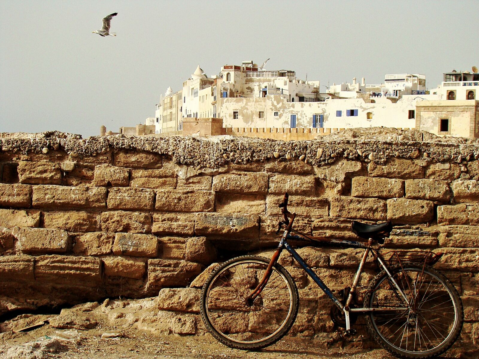 Sony DSC-H9 sample photo. Essaouira, morocco, north africa photography