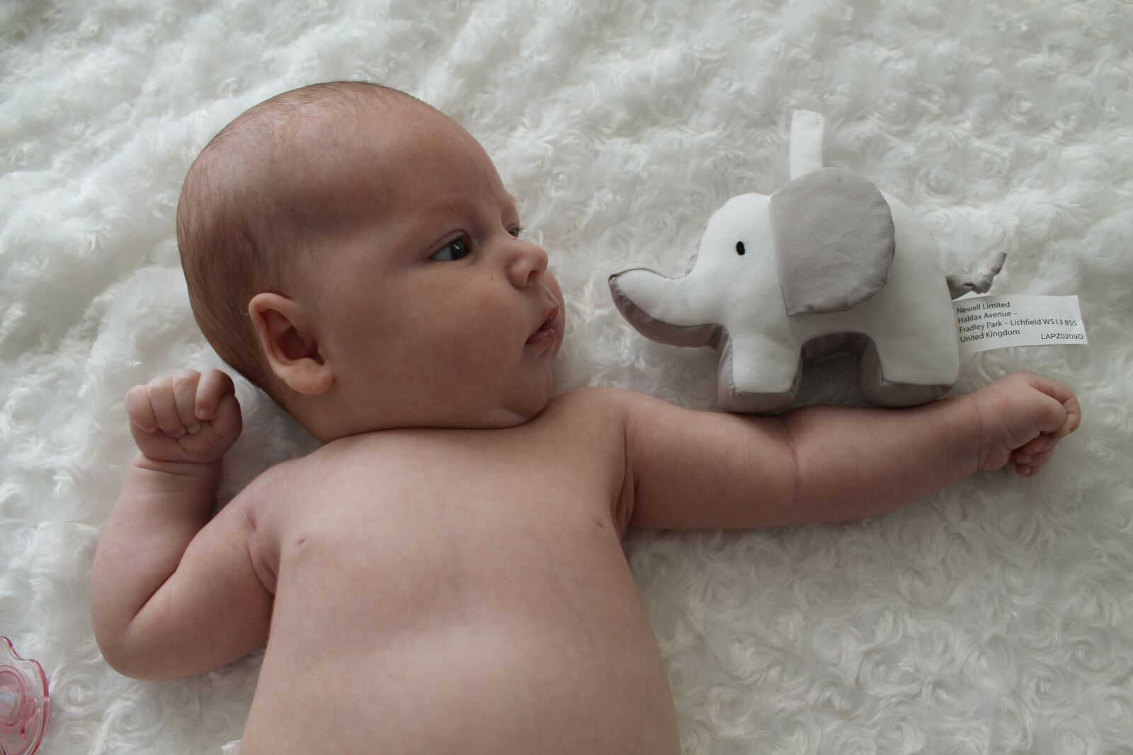 Canon EOS 1100D (EOS Rebel T3 / EOS Kiss X50) sample photo. Babe, baby, girl photography