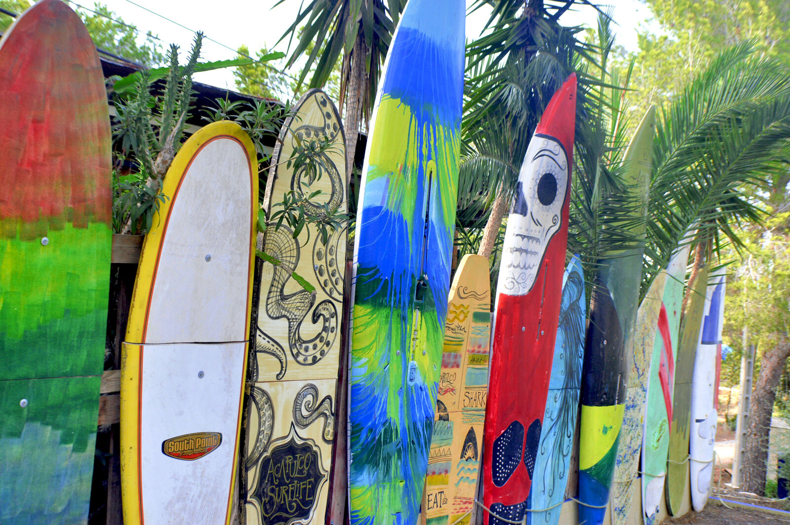 Nikon D3200 sample photo. Fence, garden, painted, surfboard photography