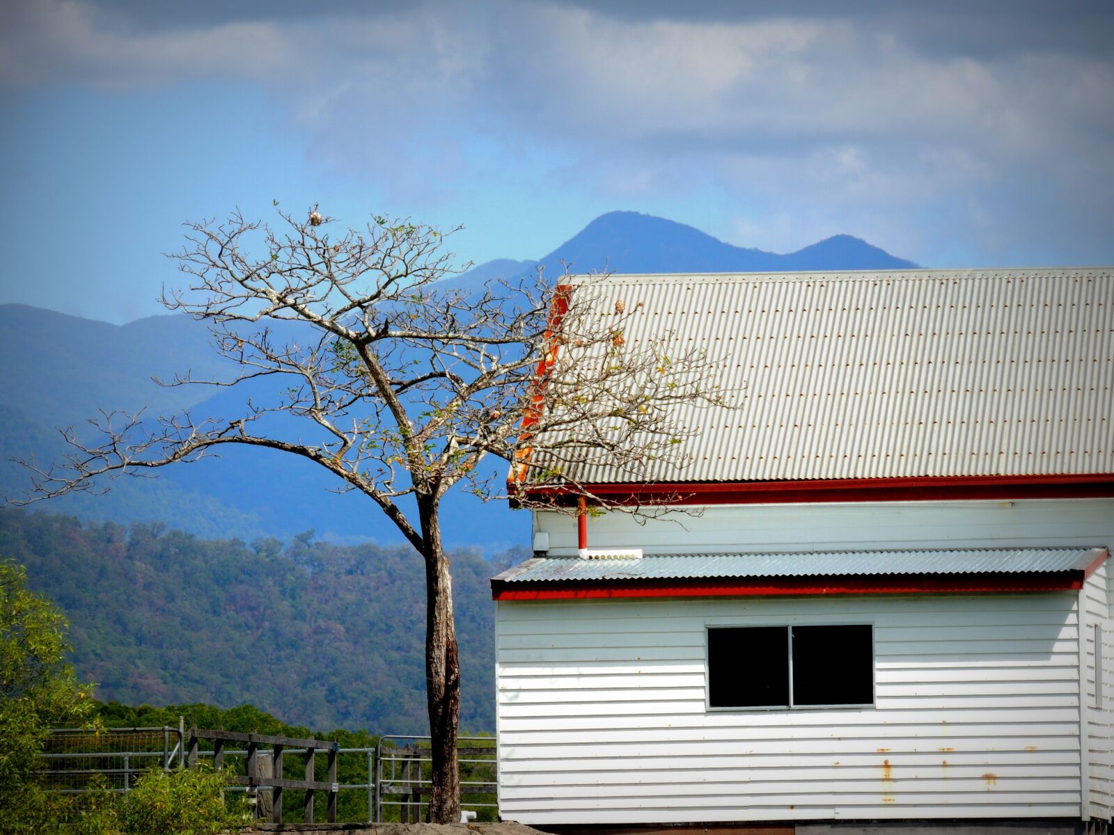 Nikon Coolpix P510 sample photo. House, landscape, tree photography