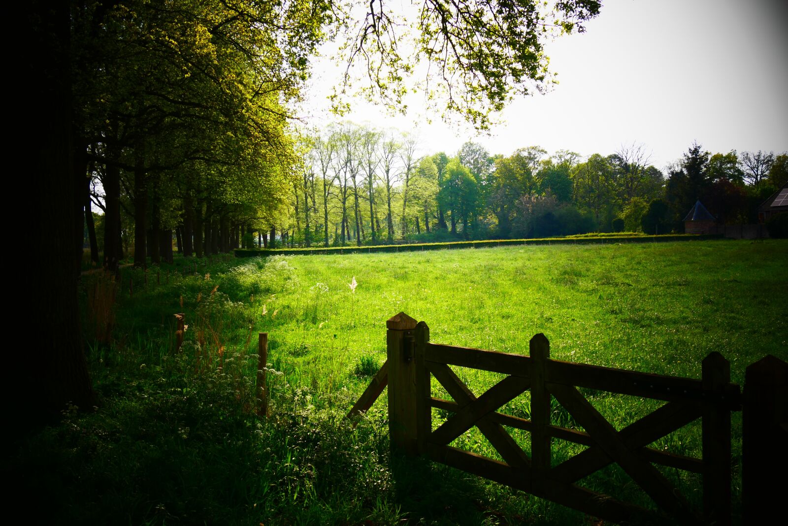 Panasonic Lumix DMC-G85 (Lumix DMC-G80) sample photo. Park, fence, forest photography