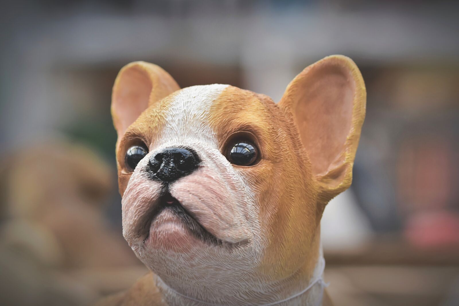 Nikon D7200 sample photo. Dog figure, dog head photography