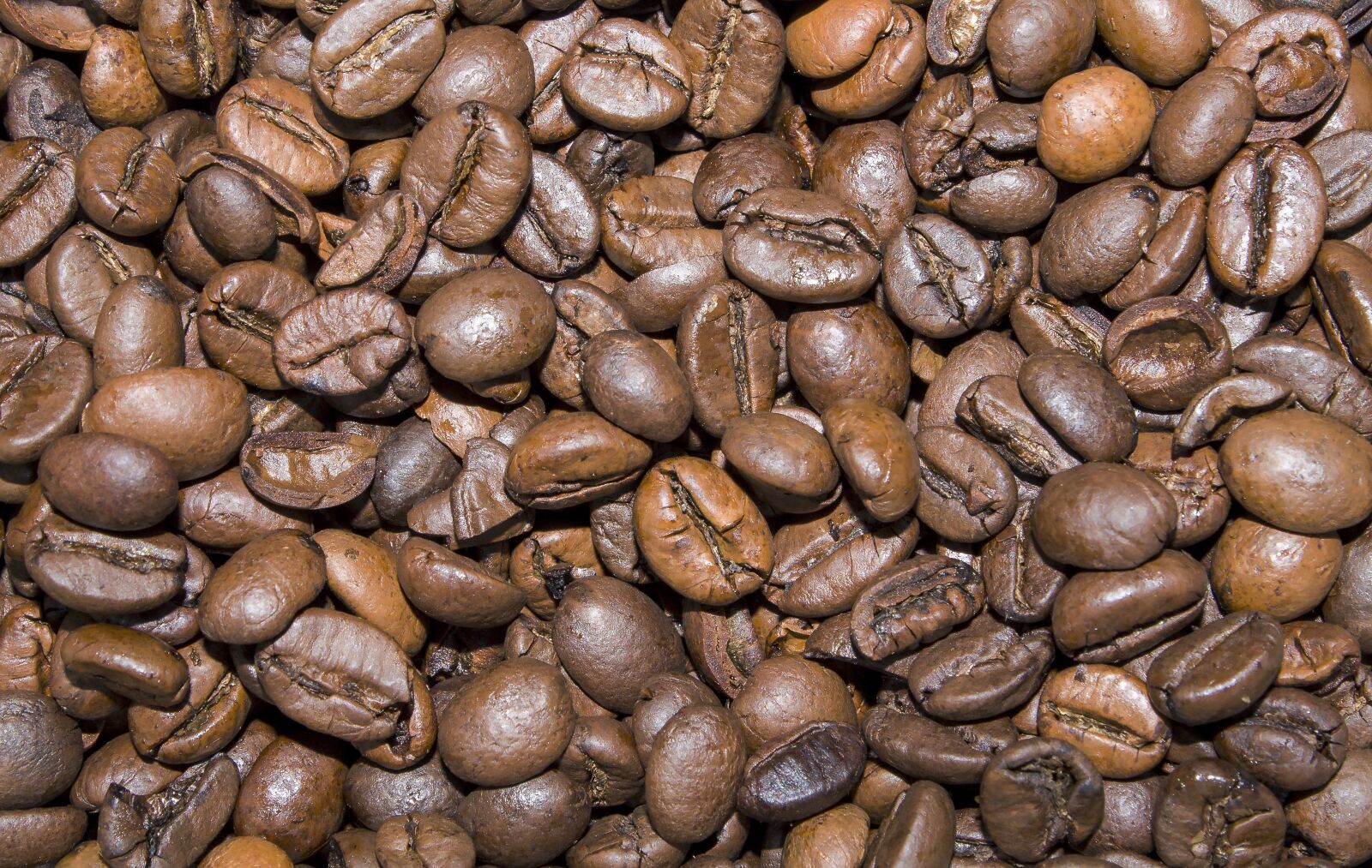Canon EOS 1100D (EOS Rebel T3 / EOS Kiss X50) sample photo. Background, coffee, coffee beans photography