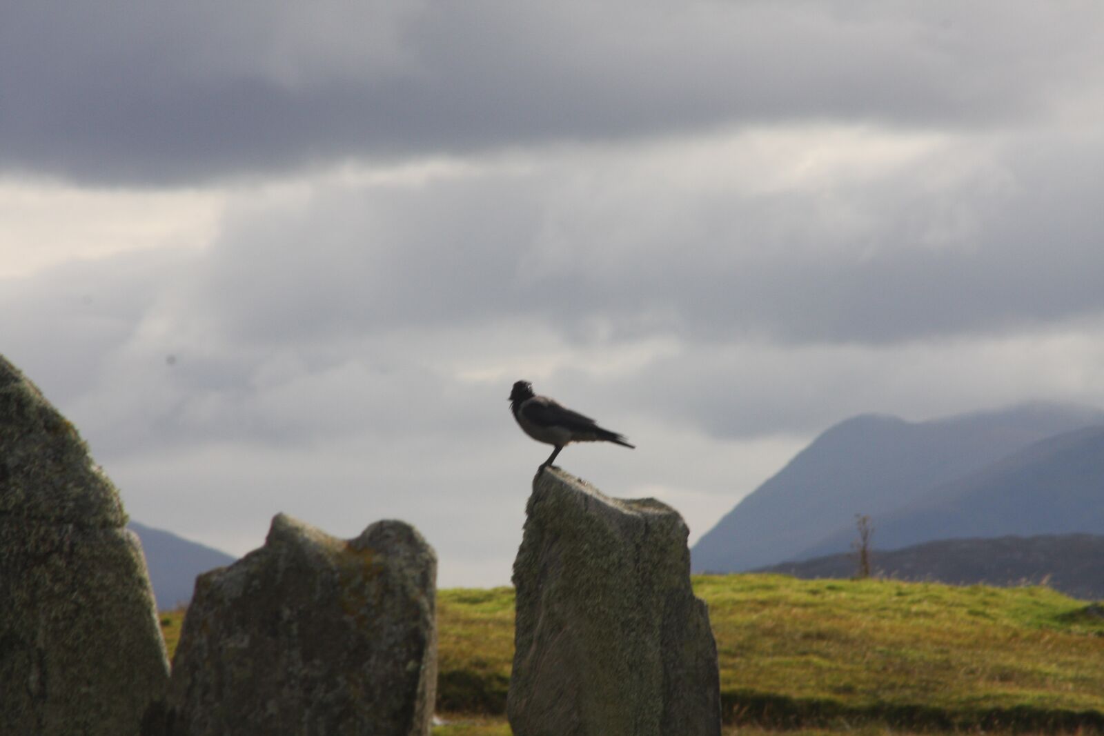 Canon EOS 40D sample photo. Isle of lewis, landscape photography