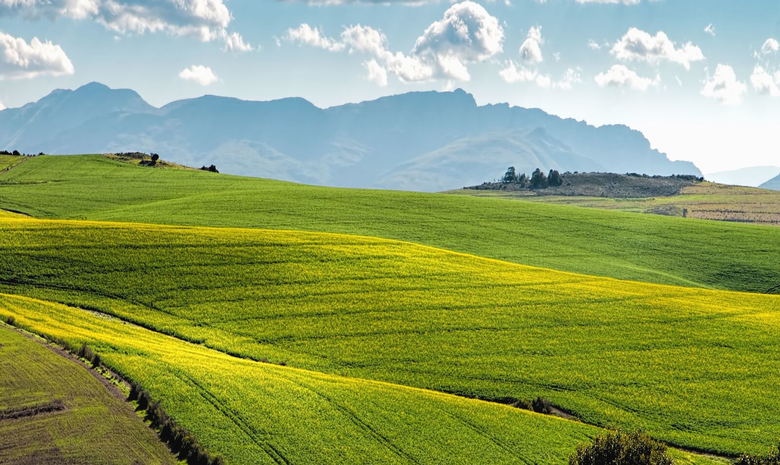 Canon EOS 70D sample photo. Grassland, field, grass, landscape photography