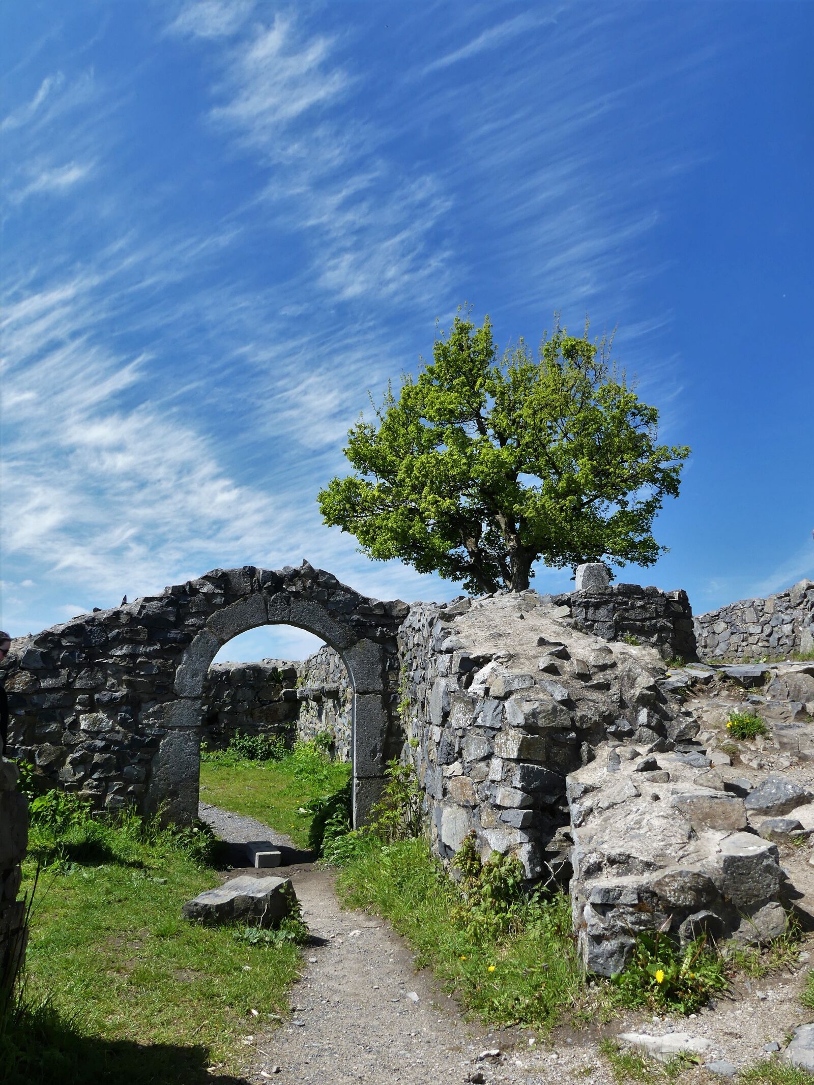 Panasonic Lumix DMC-FZ300 sample photo. Lion castle, siebengebirge, archway photography