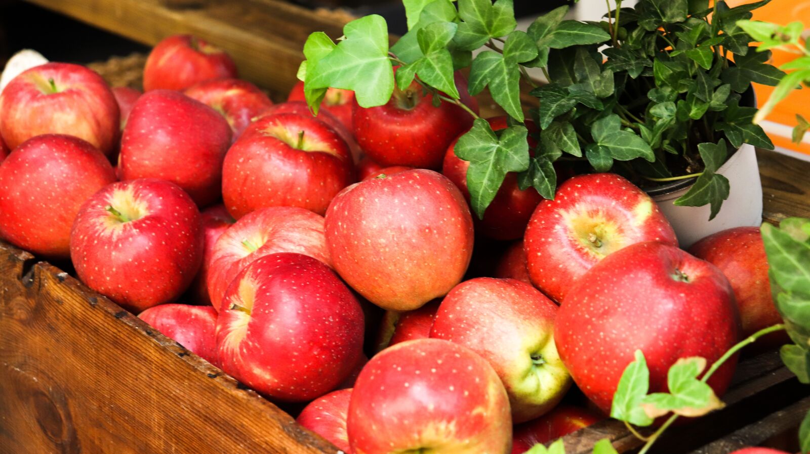 Canon EOS 200D (EOS Rebel SL2 / EOS Kiss X9) sample photo. Apple, asia fruits, asia photography