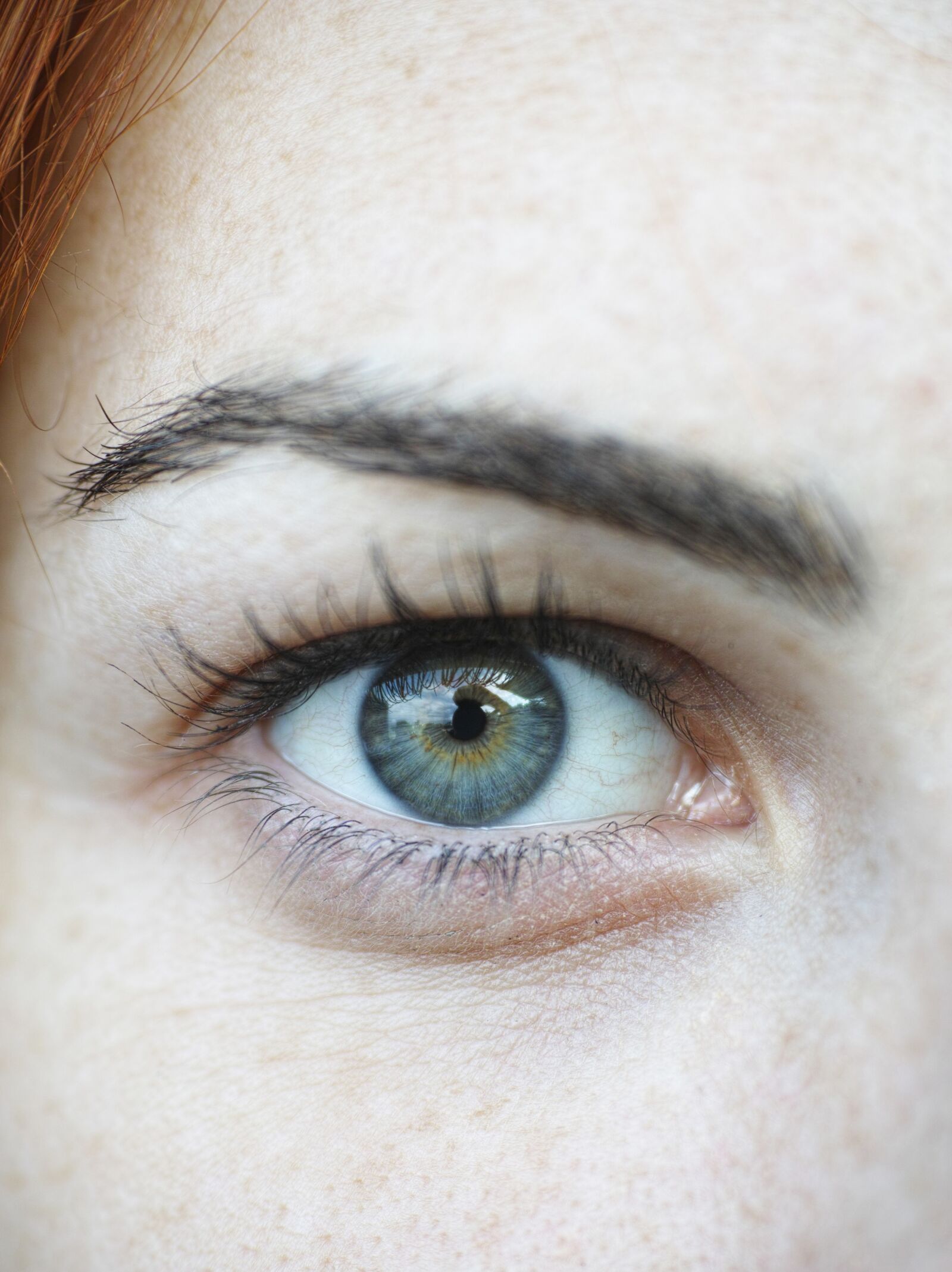 Sigma DP3 Merrill sample photo. Blue, eye, browse photography