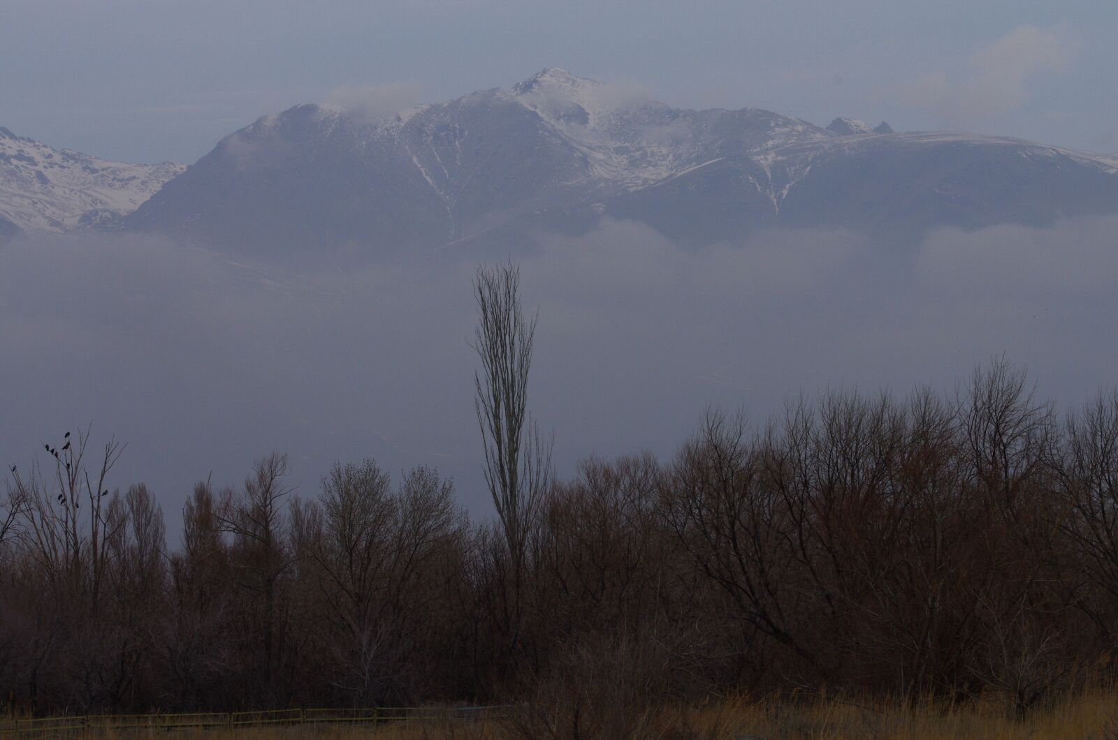 Pentax K-5 sample photo. Mountains, fog, morning photography