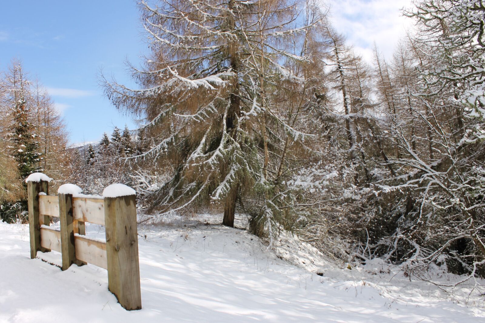 Canon EOS 1100D (EOS Rebel T3 / EOS Kiss X50) sample photo. Winter, snow, nevado photography
