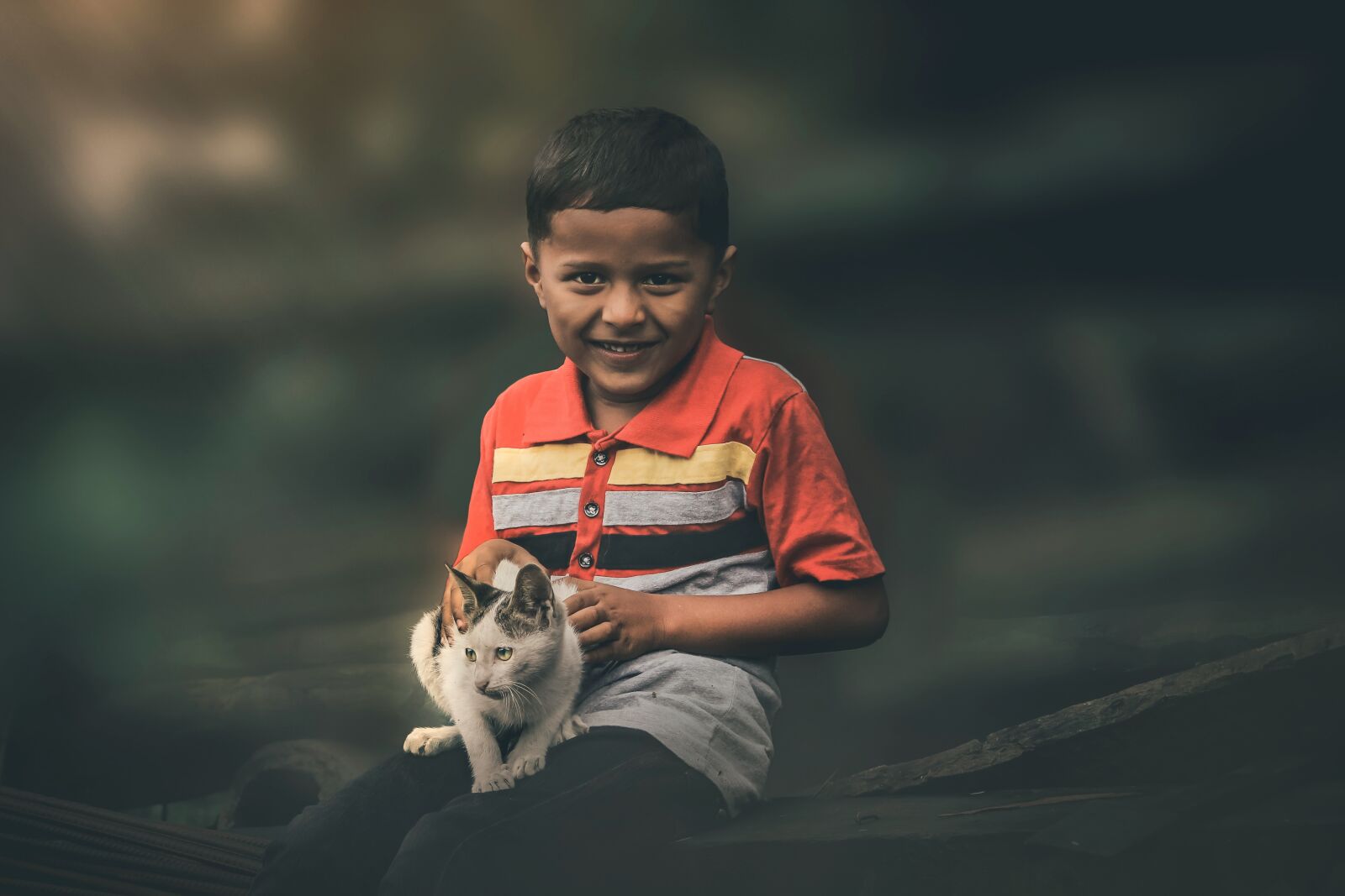 Canon EOS 1300D (EOS Rebel T6 / EOS Kiss X80) sample photo. Little boy with cat photography