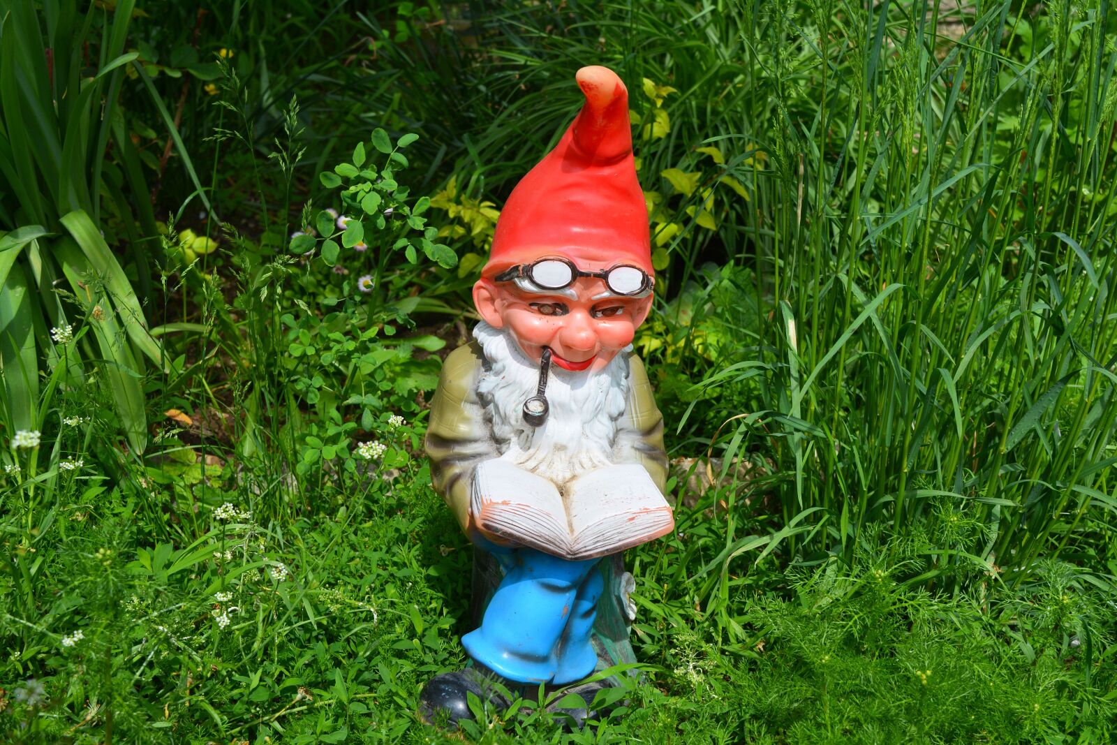 Nikon D5200 sample photo. Dwarf garden, dwarf, gnome photography