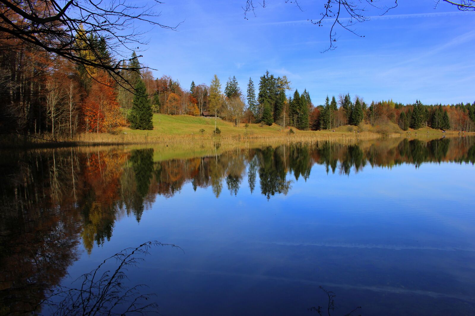 Canon EOS 100D (EOS Rebel SL1 / EOS Kiss X7) sample photo. Lake, forest, trees photography
