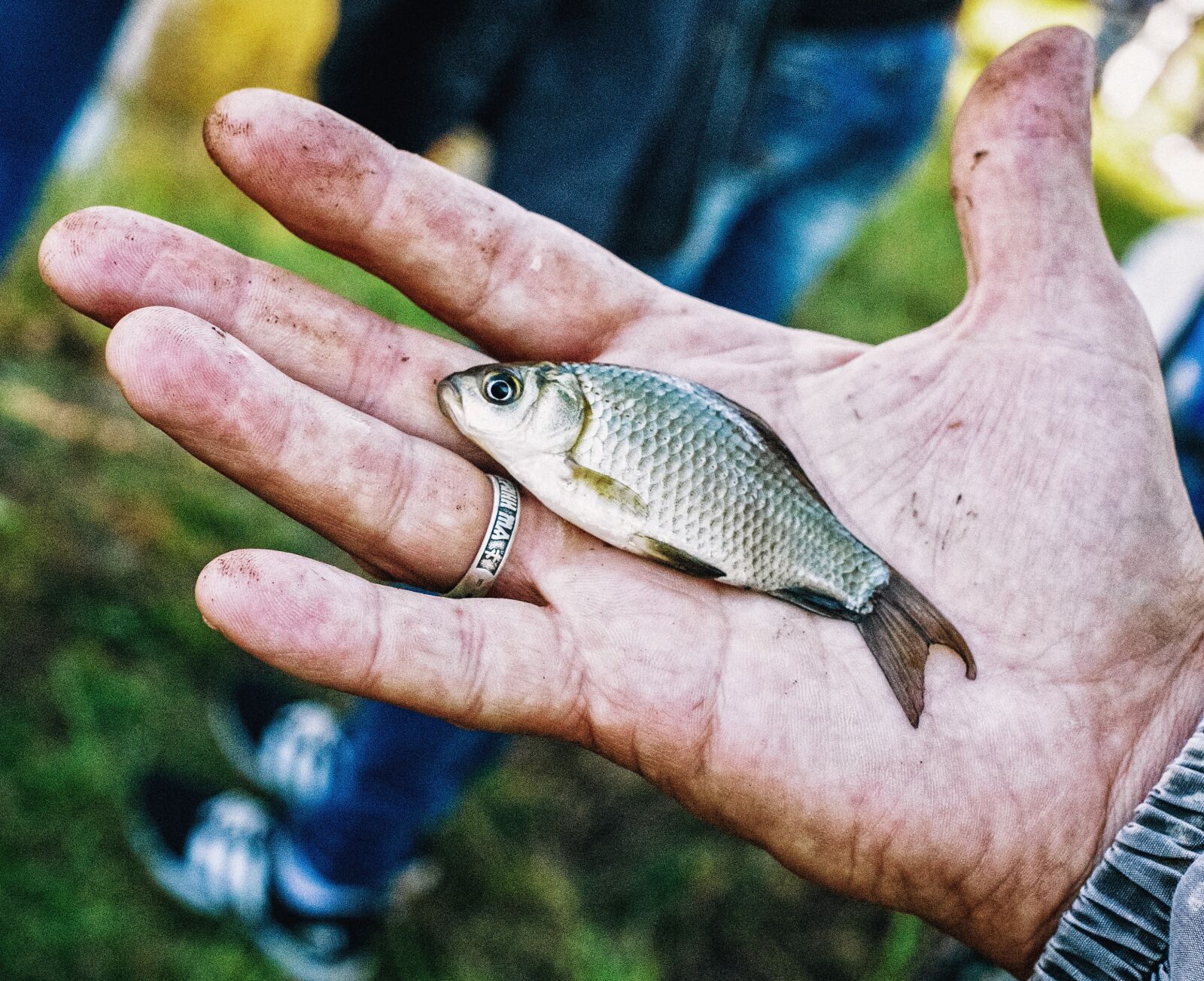 Fujifilm X-E1 + Fujifilm XF 35mm F1.4 R sample photo. Fish, fishing, catch photography