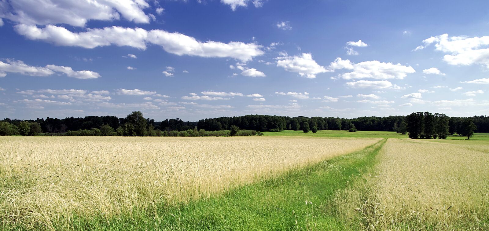 Pentax K-S2 sample photo. Way, field, the path photography