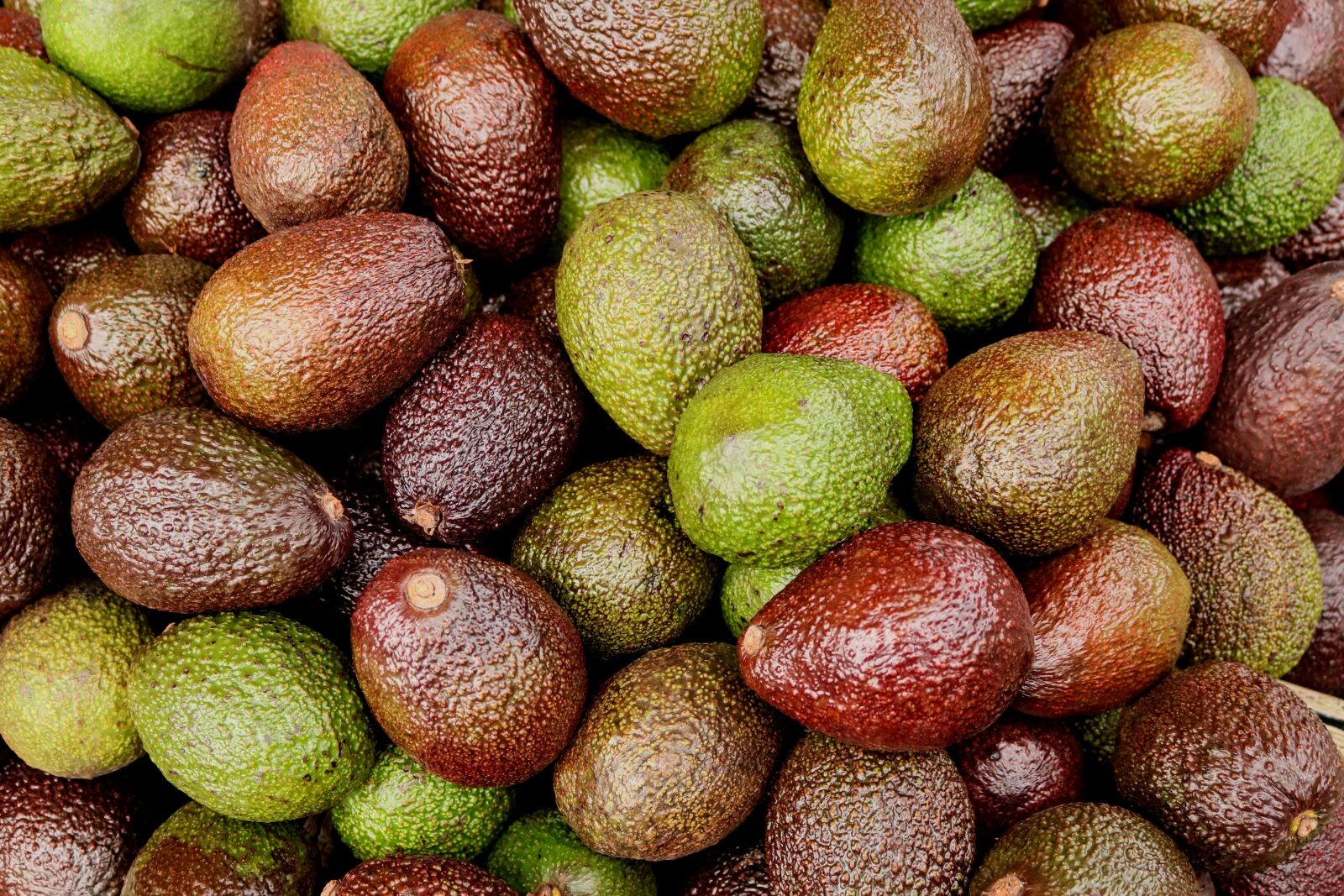 Canon EOS 750D (EOS Rebel T6i / EOS Kiss X8i) sample photo. Avocados, exotic, fruit photography