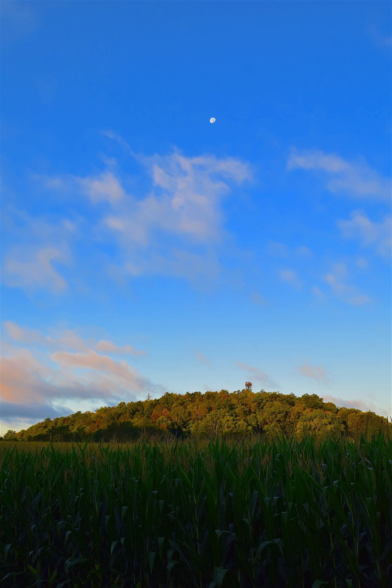 Nikon D3300 sample photo. Mountain, sunrise, green photography