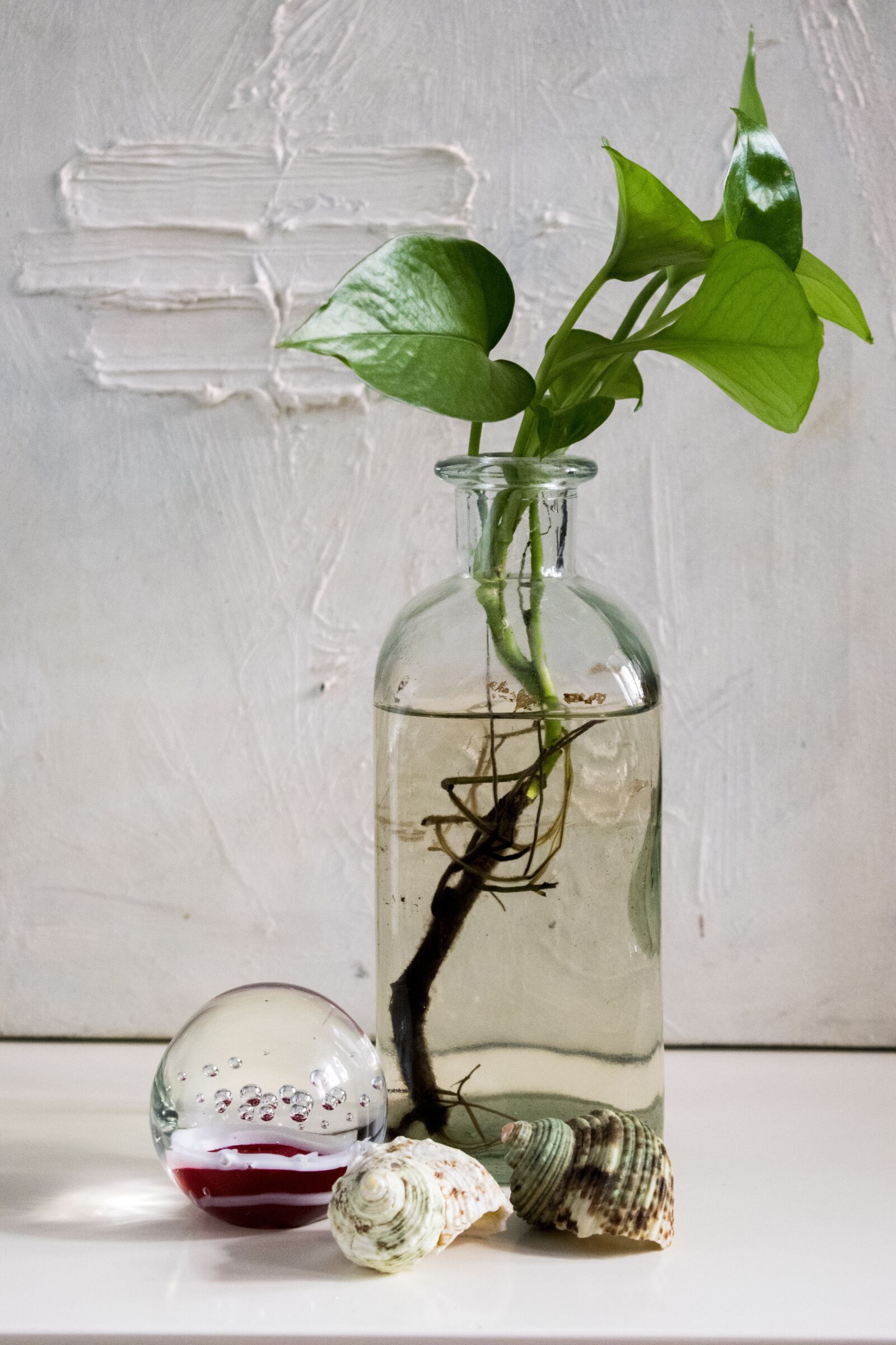 Nikon D5300 sample photo. Composition, ball, bottle photography