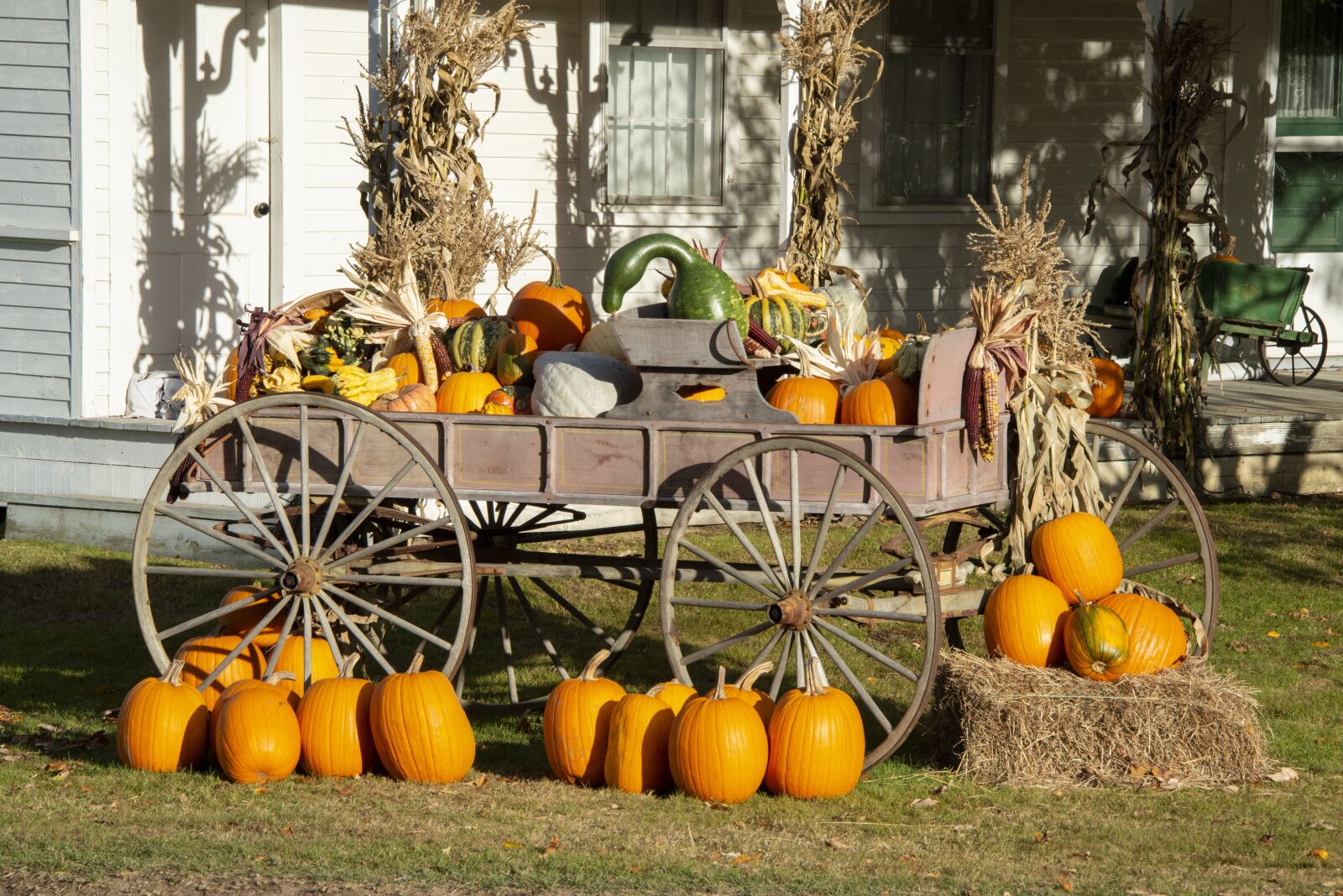 Nikon D800 sample photo. Halloween, pumpkins, decoration photography