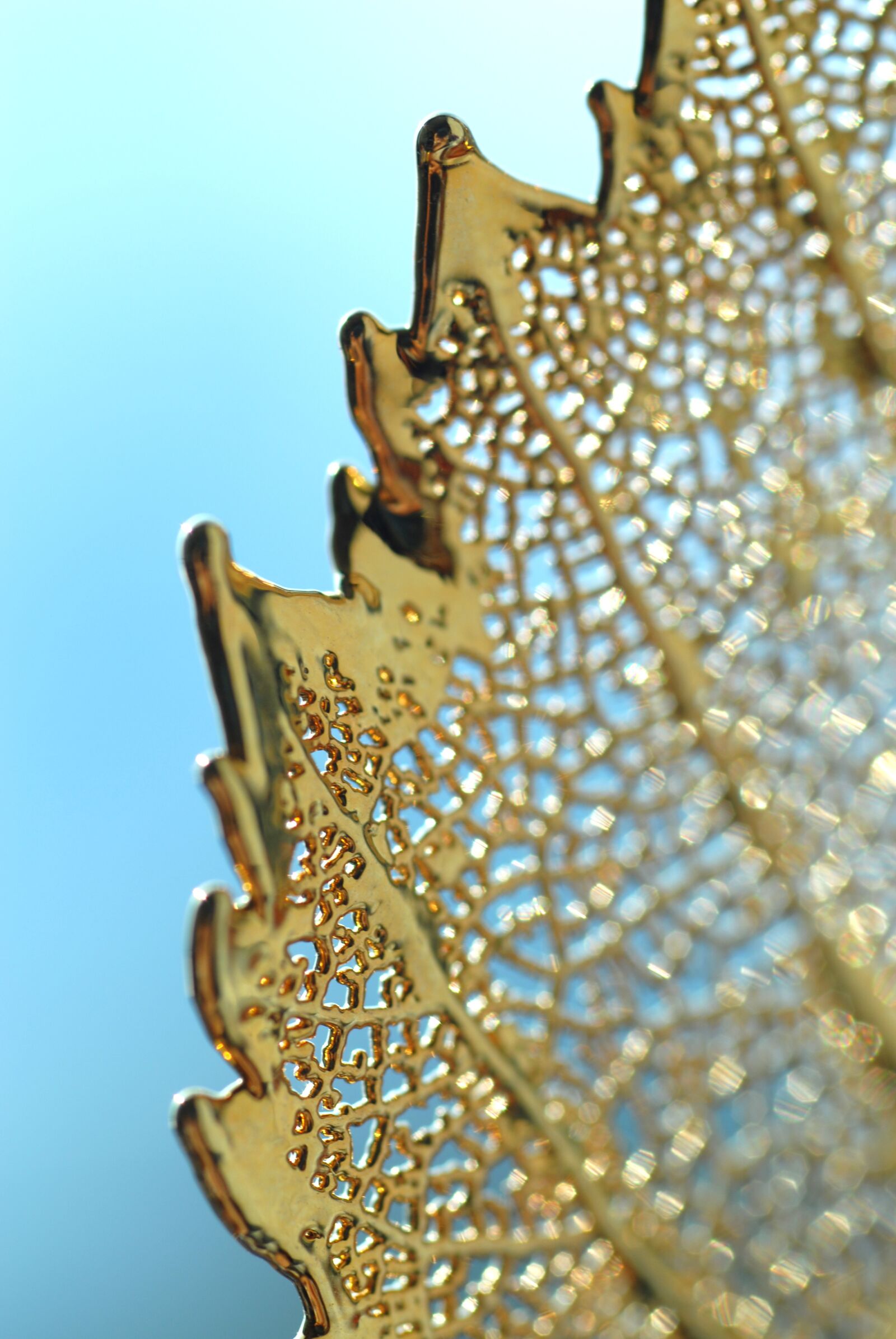 Nikon D200 sample photo. Gold, leaf, fragile photography