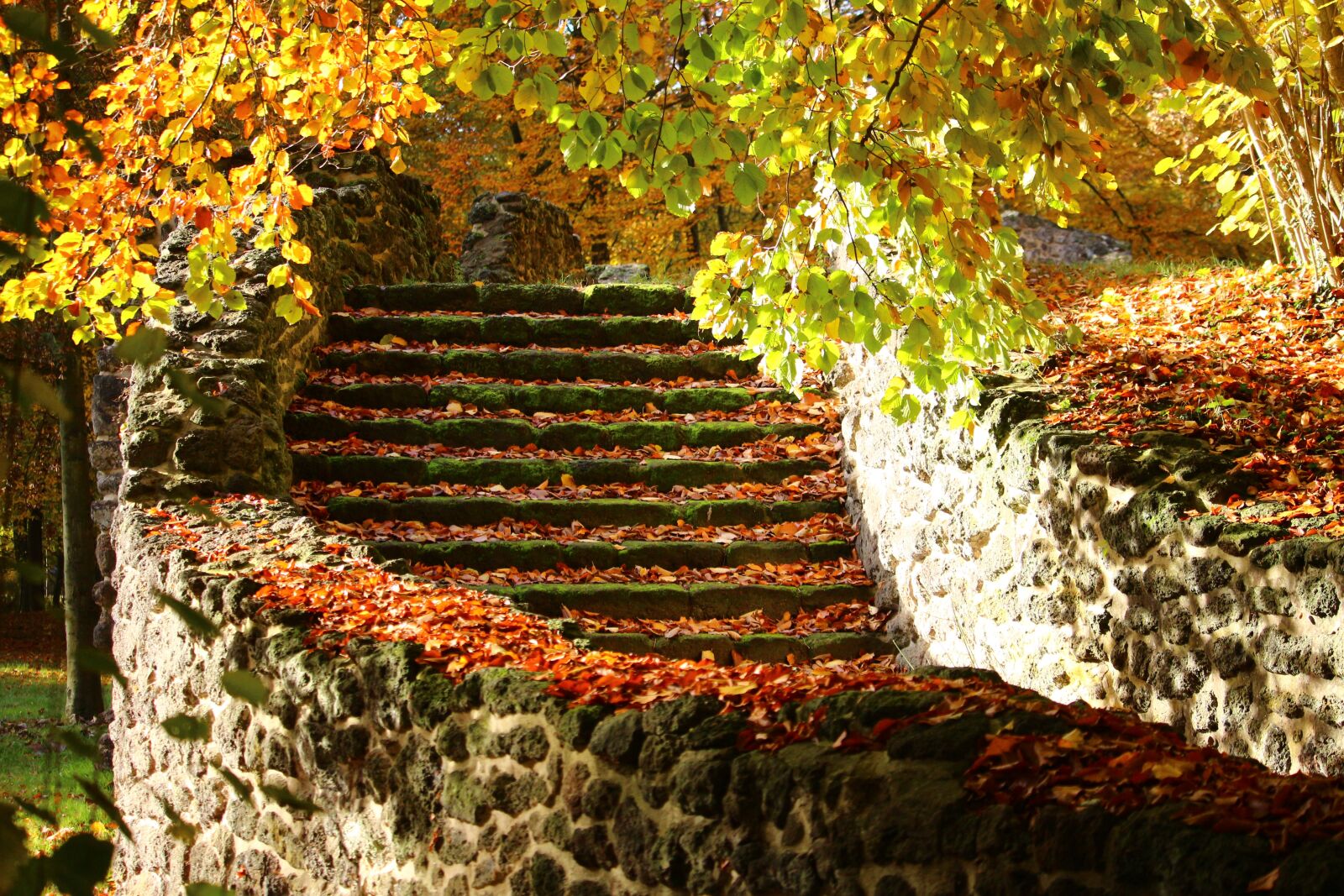 Canon EOS 100D (EOS Rebel SL1 / EOS Kiss X7) sample photo. Stone stairway, gradually, ruin photography