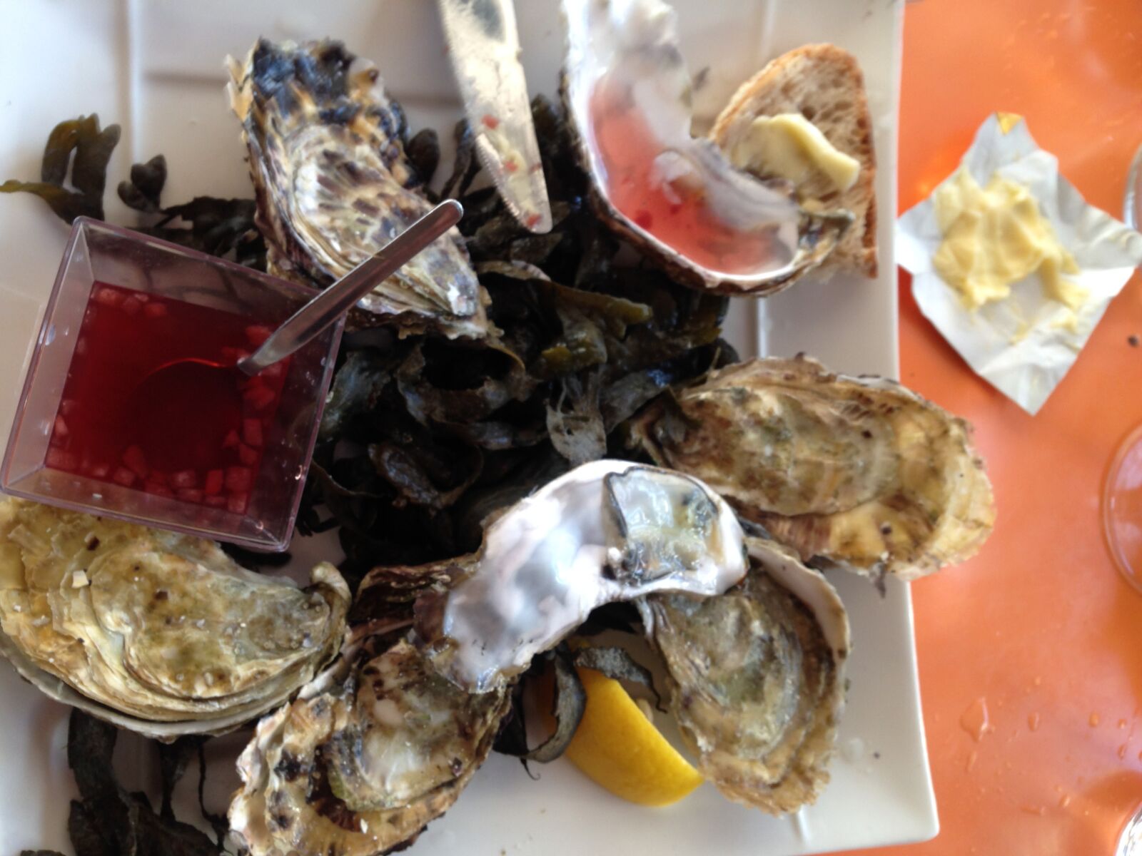Apple iPhone 5c sample photo. Oyster, food, brittany photography
