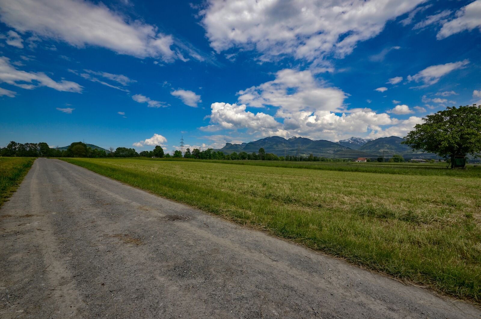Nikon D7000 sample photo. Meadow, field, nature photography