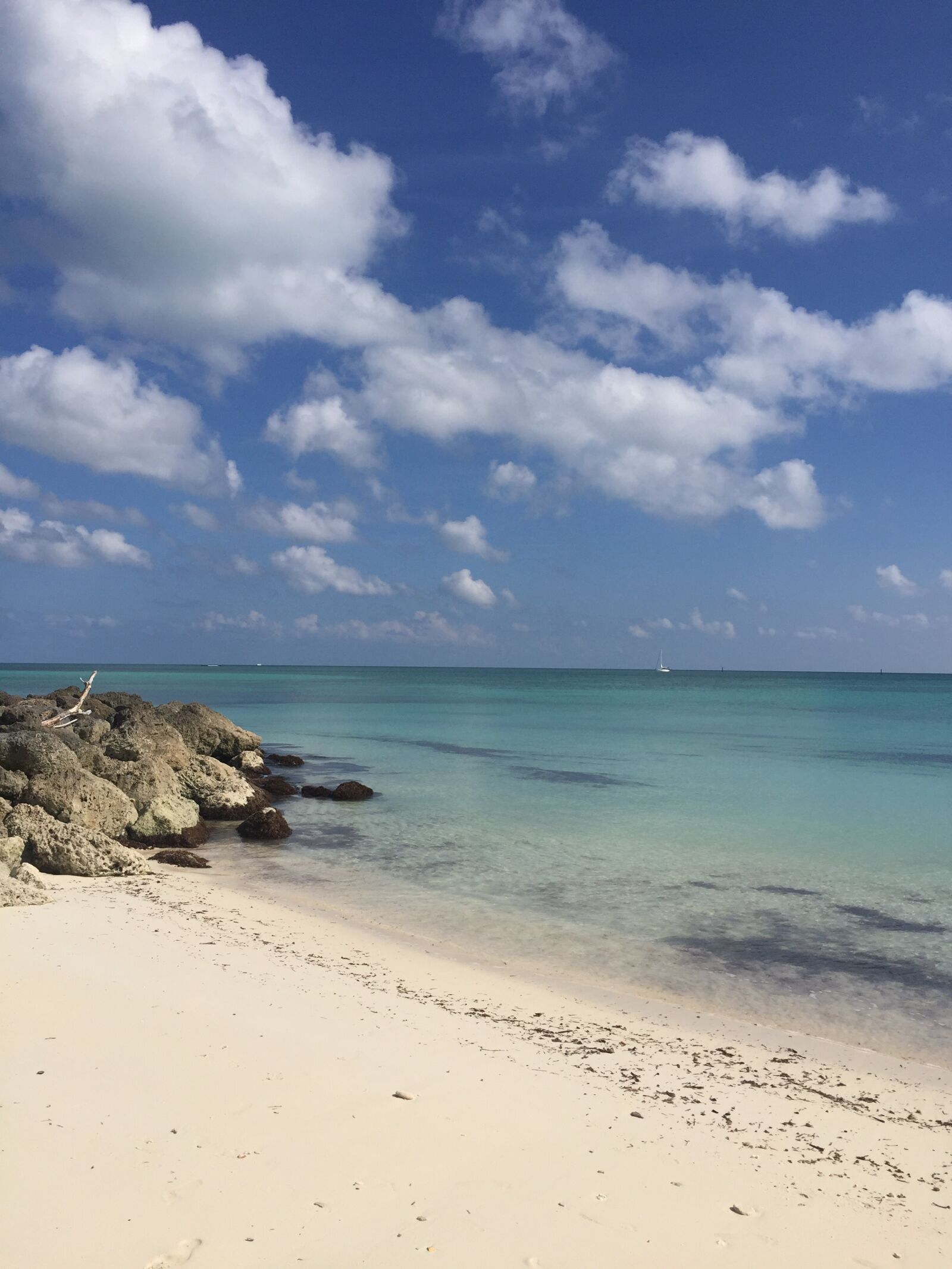 iPhone 6 back camera 4.15mm f/2.2 sample photo. Beach, caribbean, ocean photography