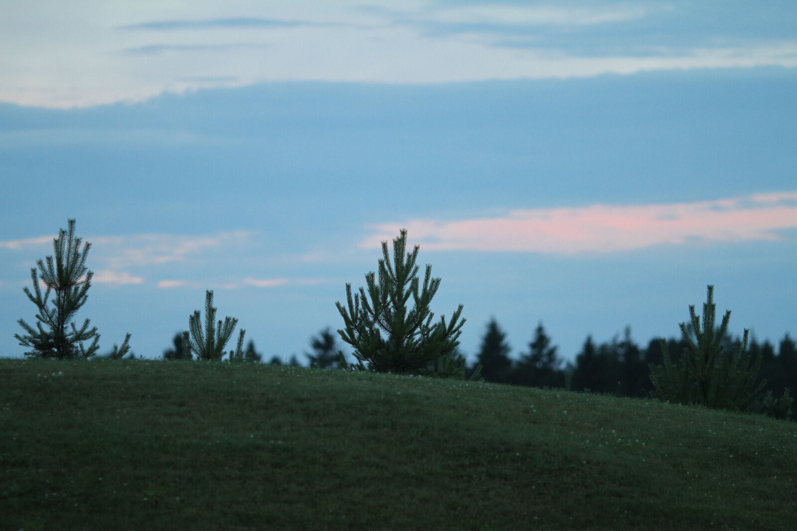 Canon EOS 7D sample photo. Nature, sunset, tree photography