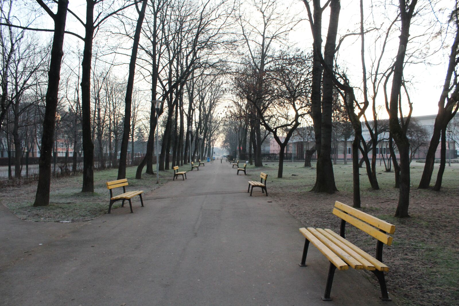 Canon EOS 1300D (EOS Rebel T6 / EOS Kiss X80) sample photo. Wood, tree, bench photography