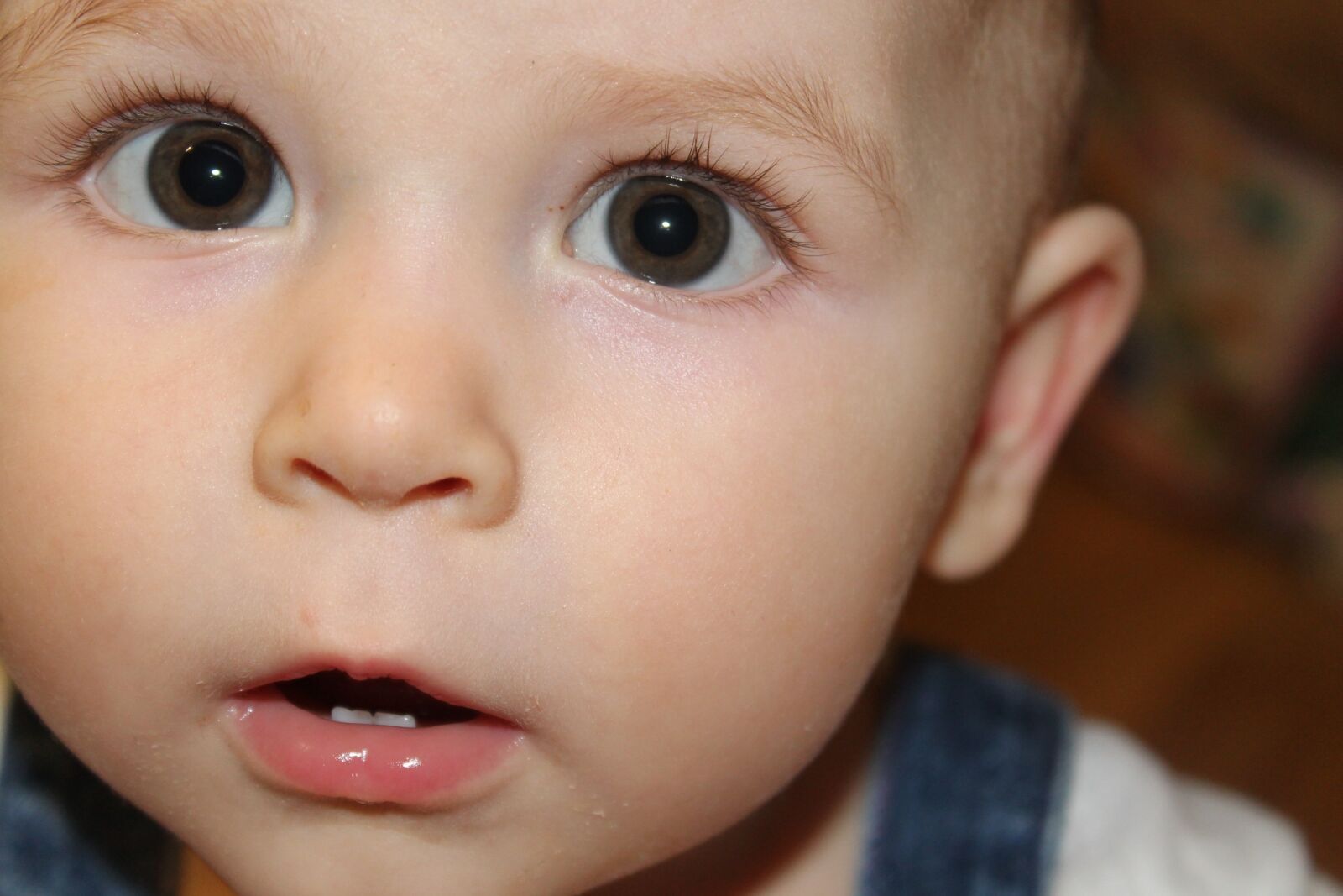 Canon EOS 1100D (EOS Rebel T3 / EOS Kiss X50) sample photo. Babe, baby, girl photography