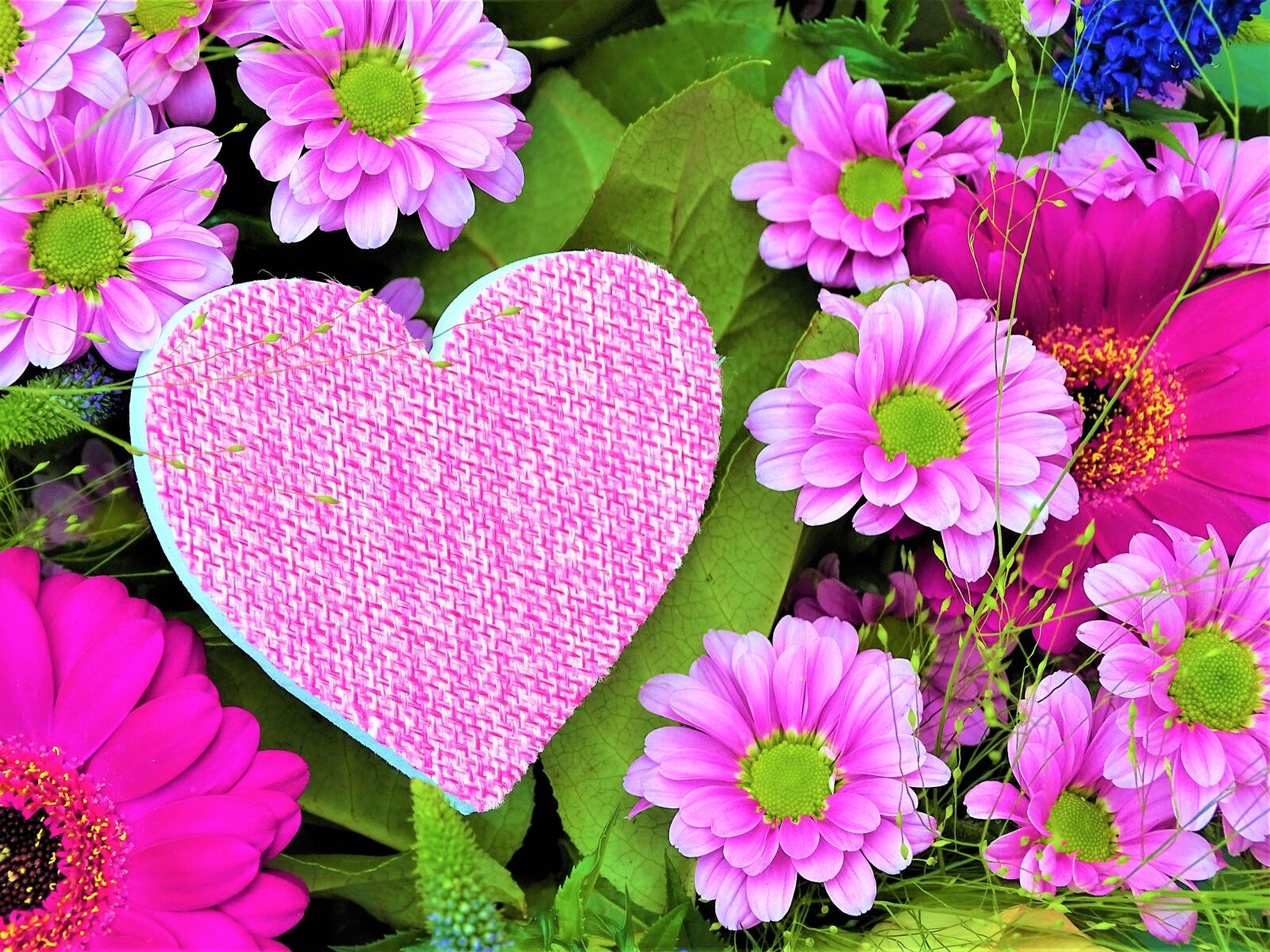Sony Cyber-shot DSC-HX400V sample photo. Heart, flower, love photography