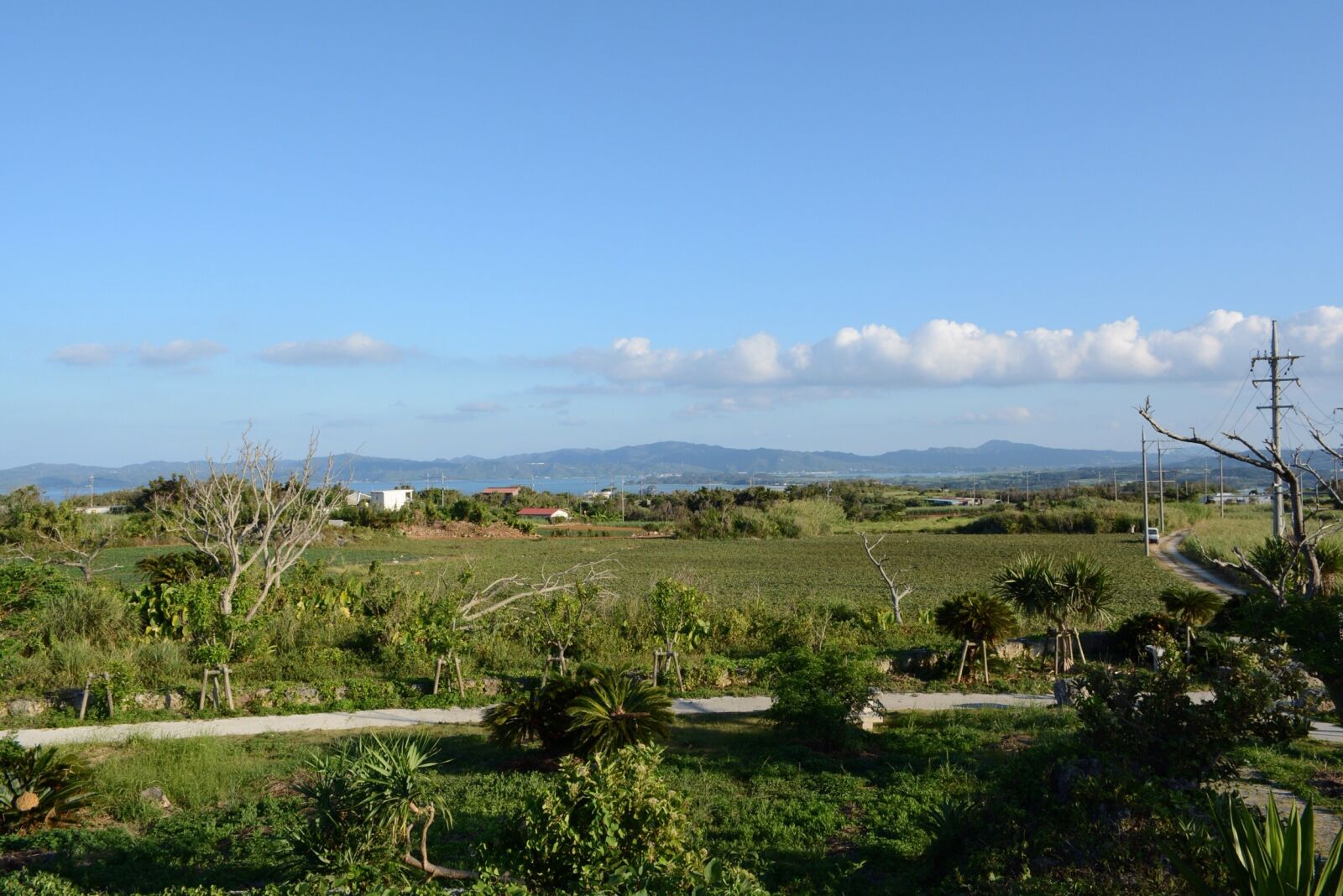 Nikon D5200 sample photo. Sky, cloud, mountain photography