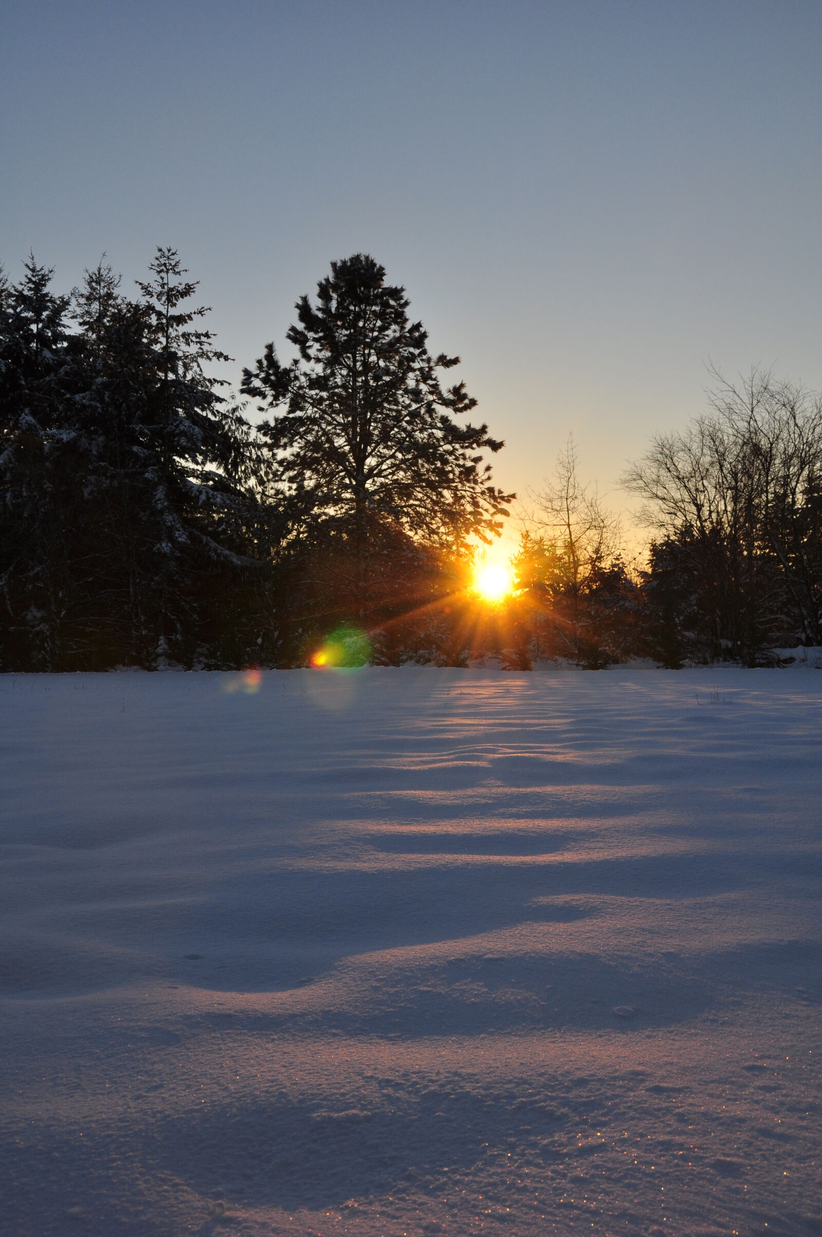 Nikon D90 sample photo. Pnw, sunset photography
