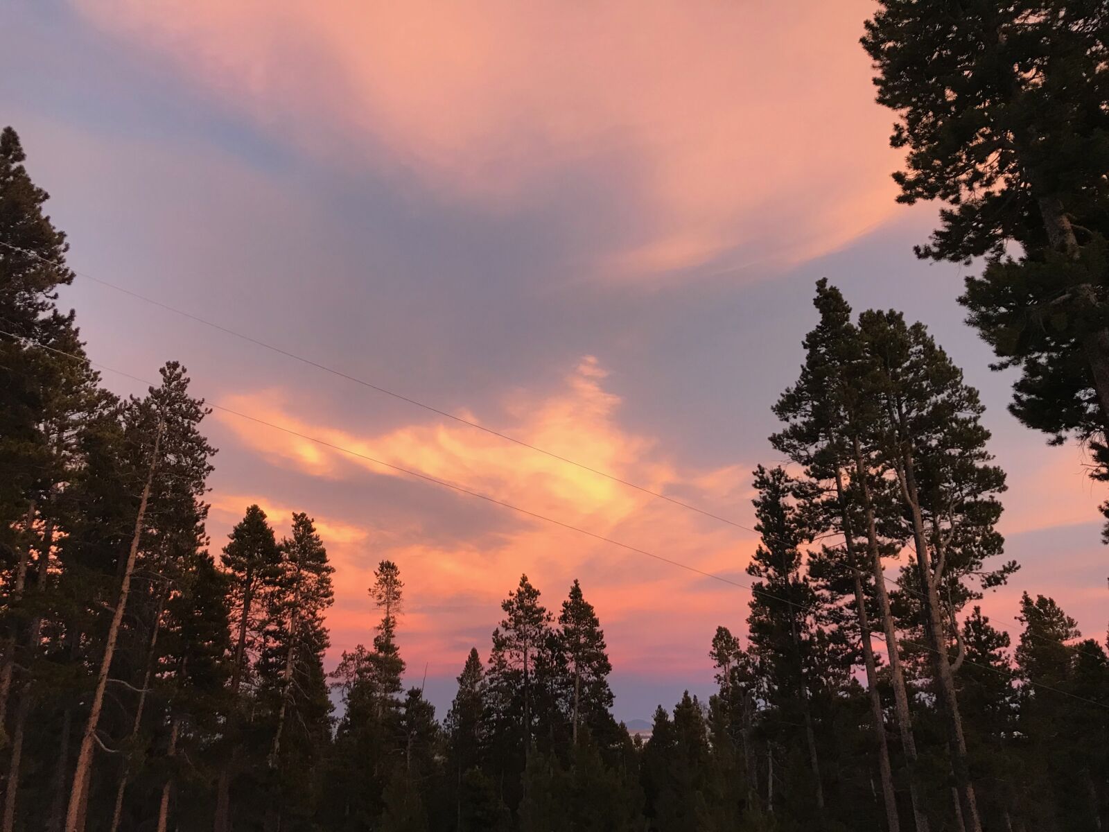 iPhone 7 back camera 3.99mm f/1.8 sample photo. Sky, trees, sunset photography