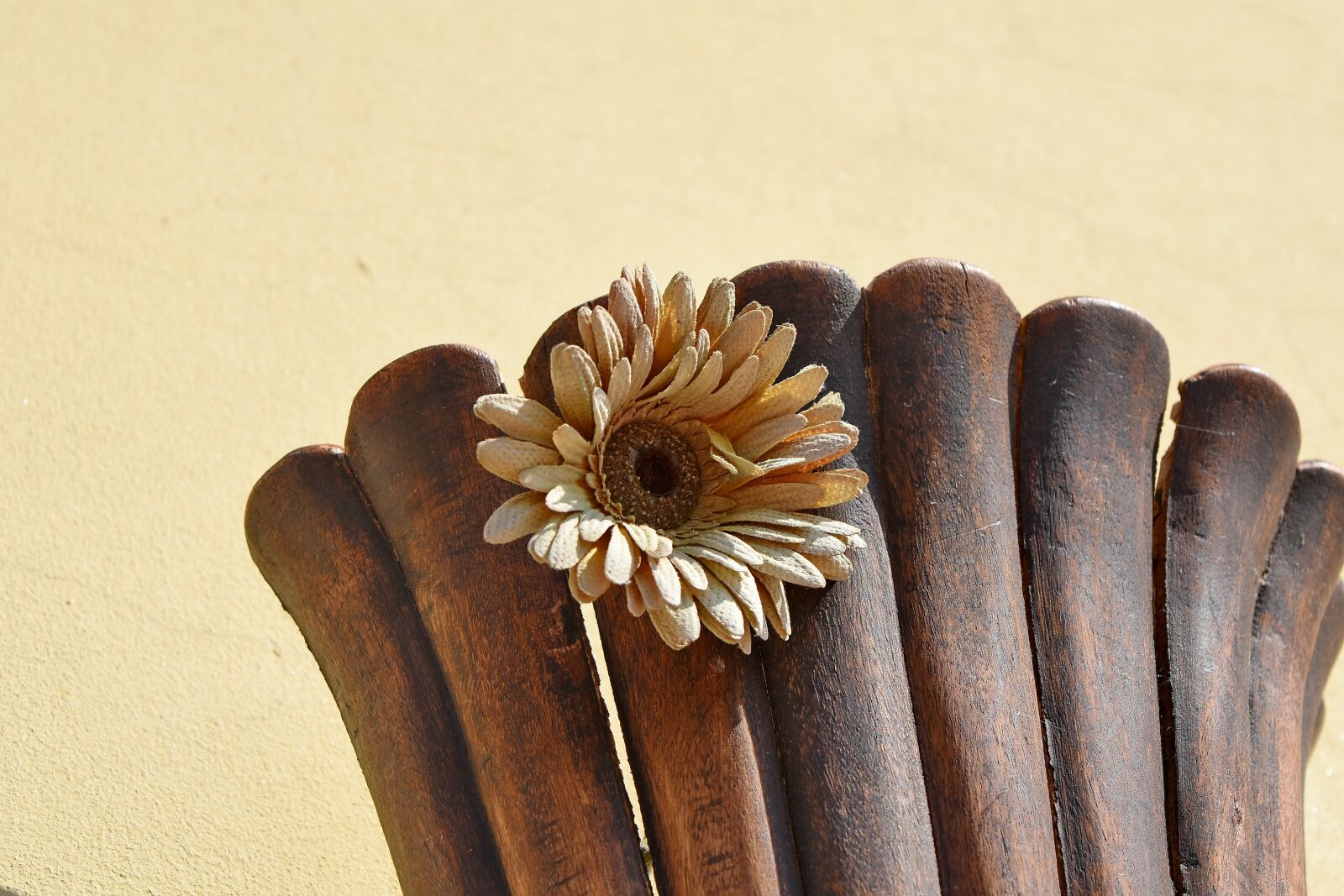 Nikon D5500 sample photo. Wood, nature, still life photography