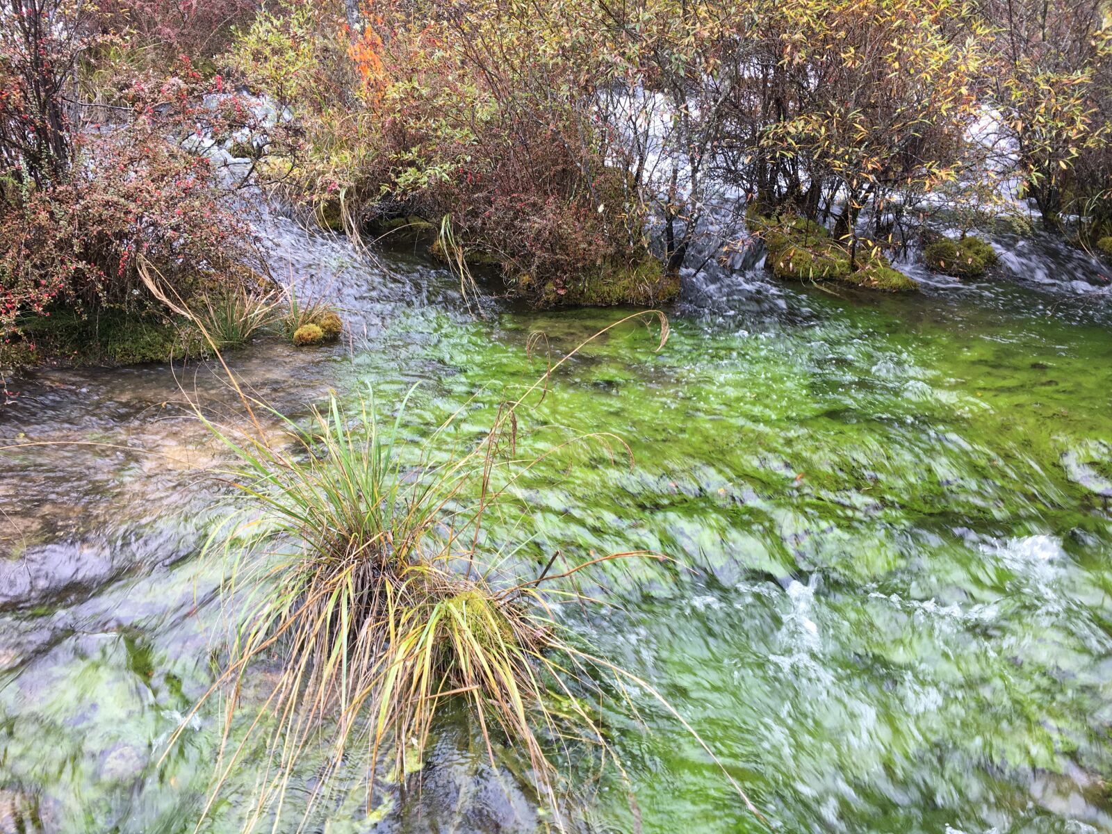 Apple iPhone 6s sample photo. Jiuzhaigou, crystal clear, running photography
