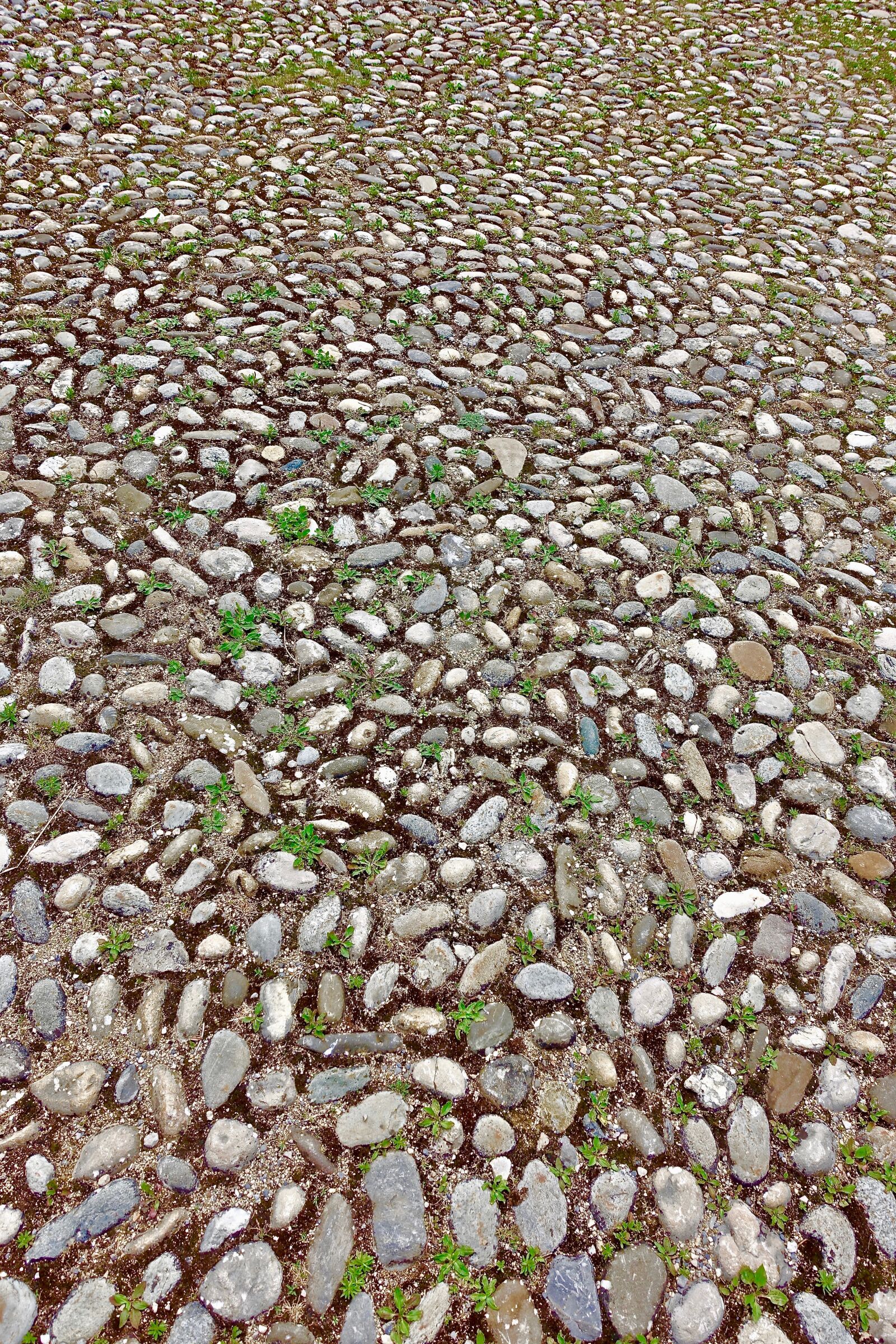 Sony Cyber-shot DSC-RX100 III sample photo. Cobblestones, pavement, pattern photography
